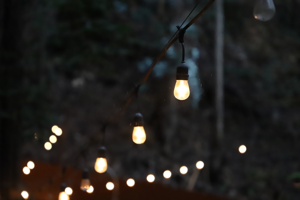 bokeh photography of light bulb