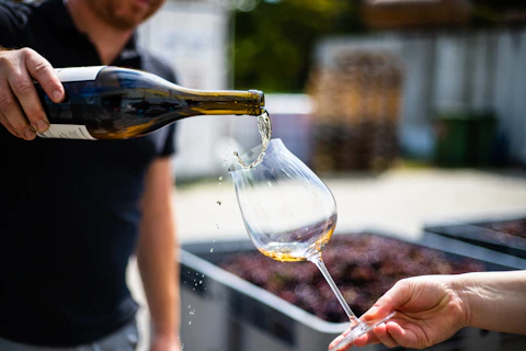 hand of a person pouring white wine int a clear wine glass with blurry background