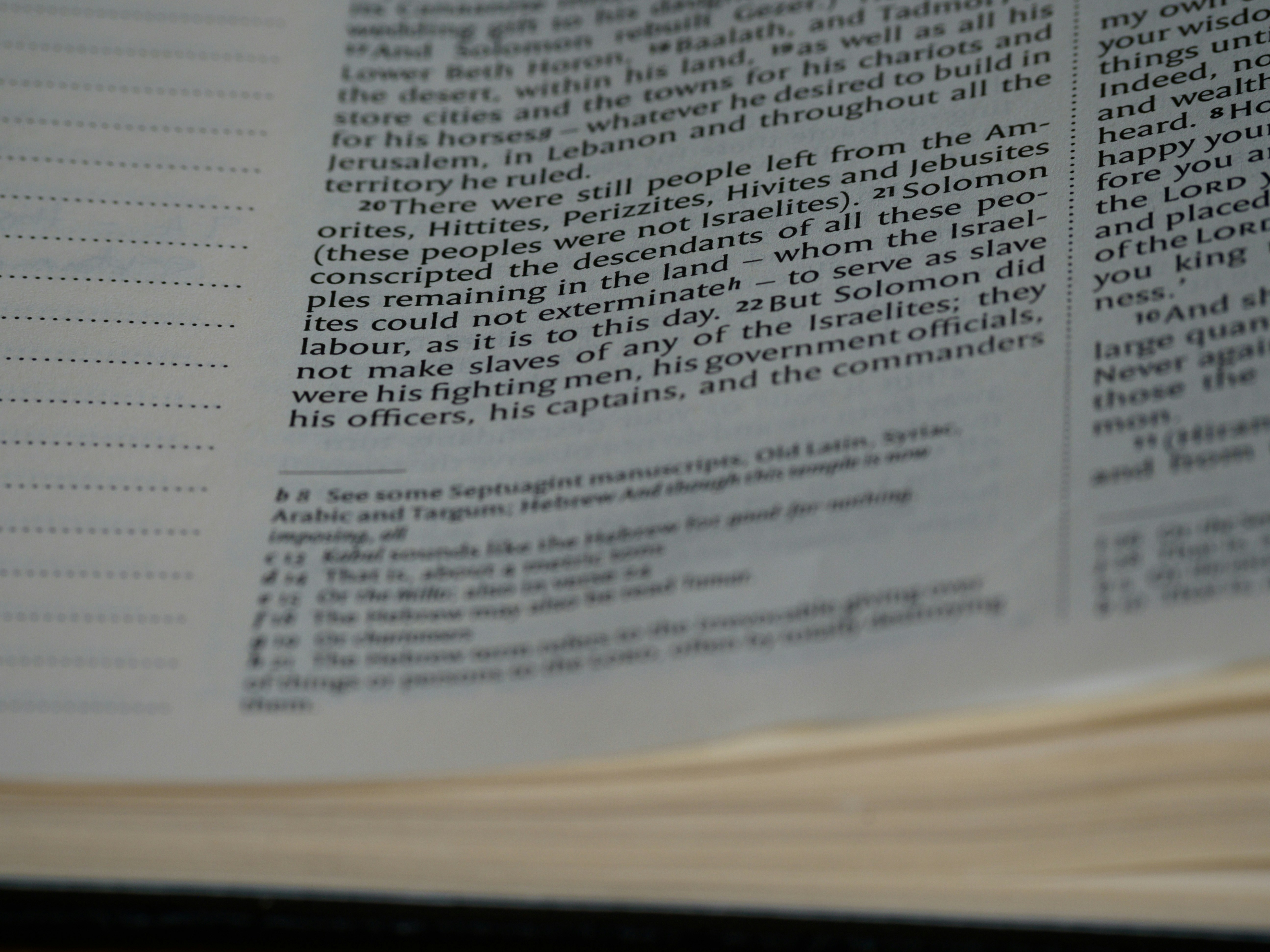 Photo by brett_jordan