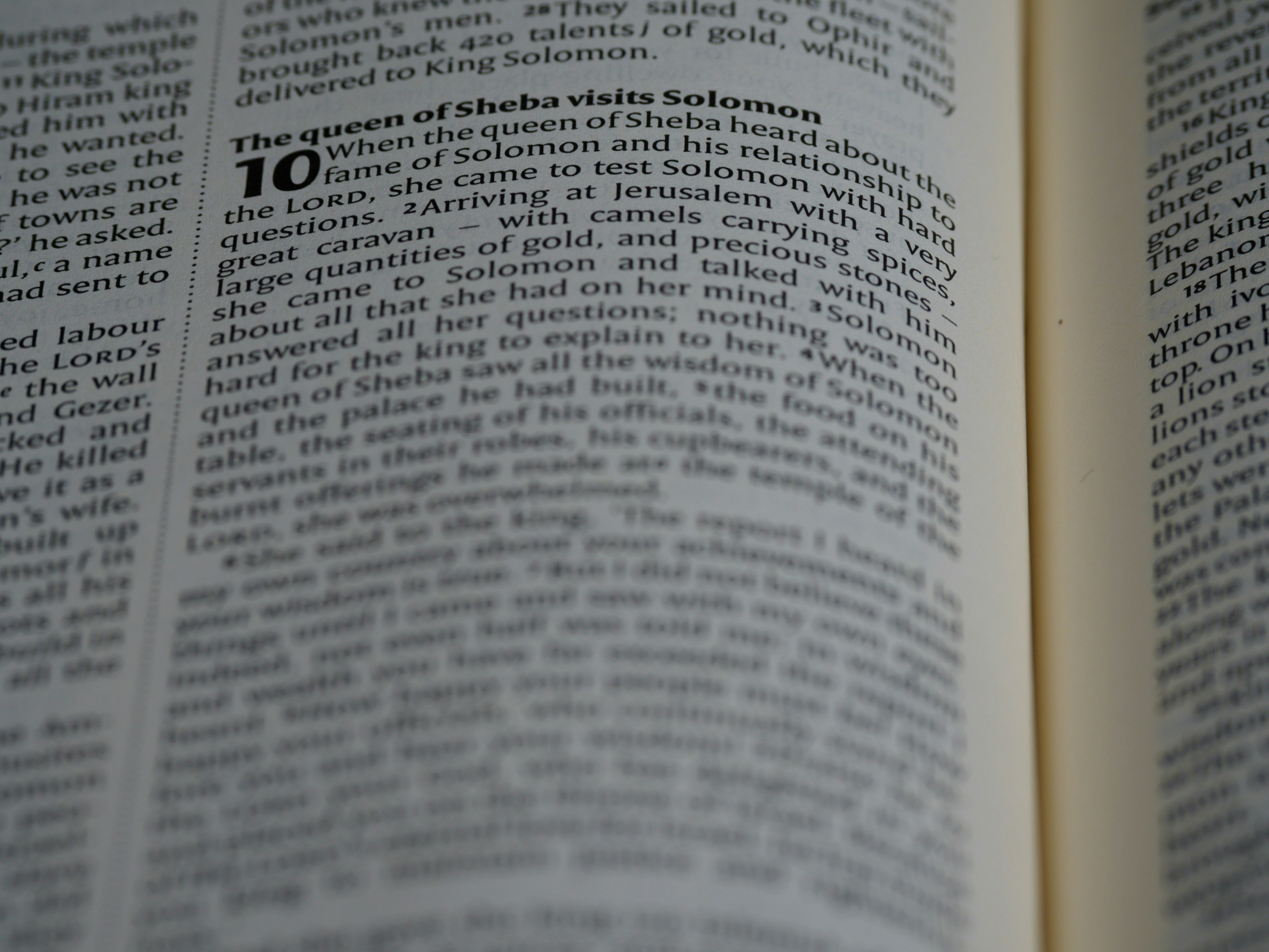 Photo by brett_jordan