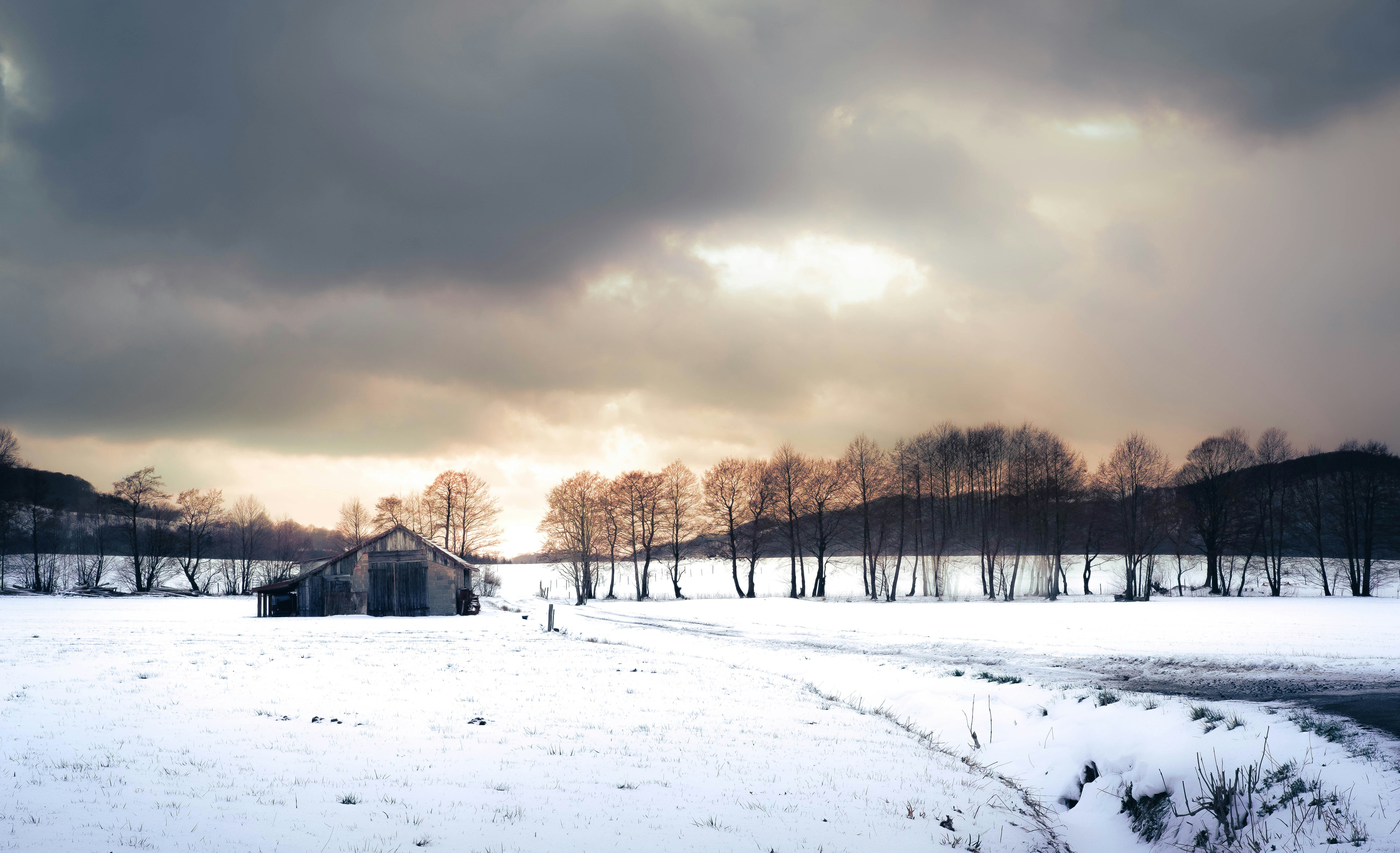 snow covered field with bare trees under cloudy sky during daytime