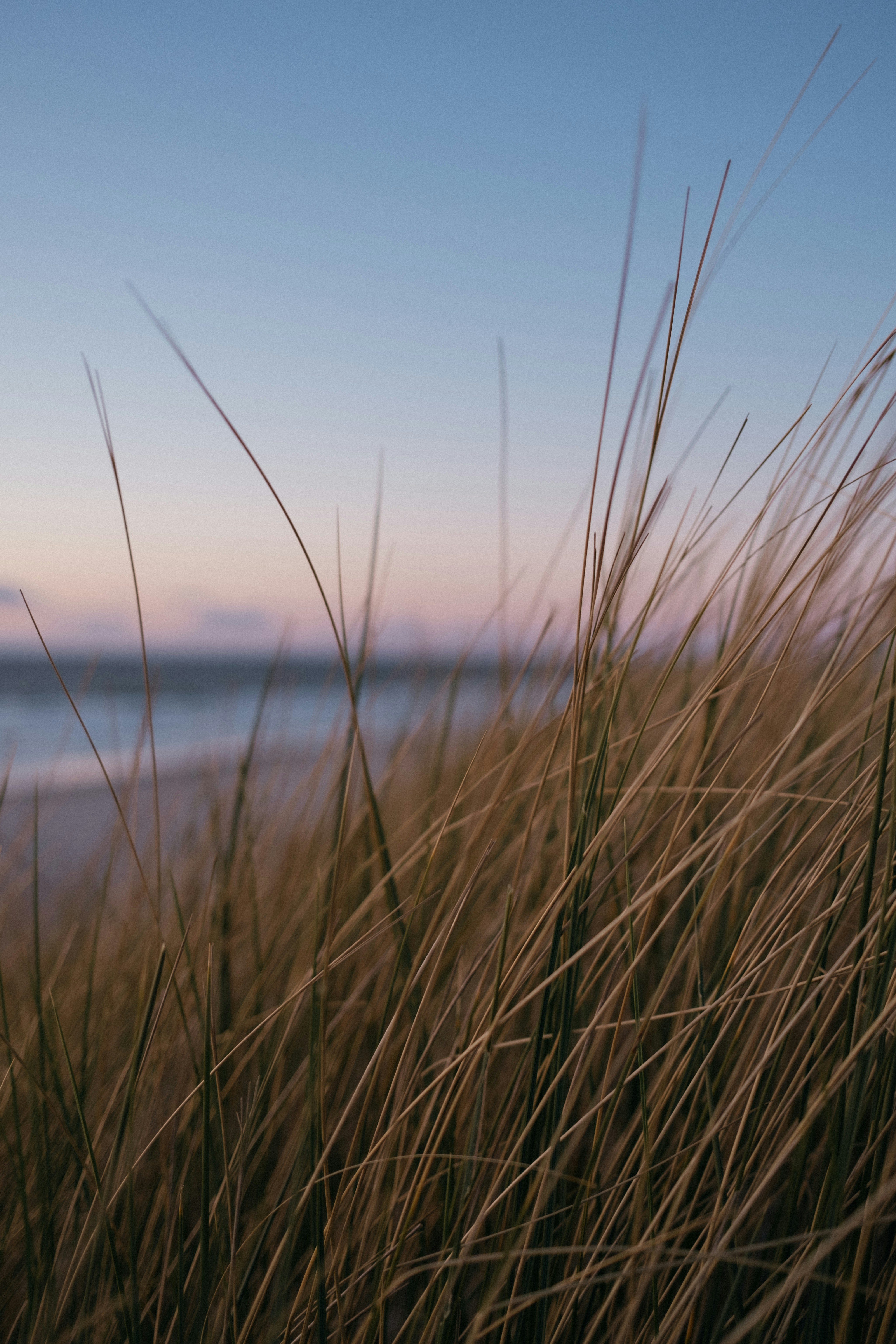 Photo by kiralaktionov