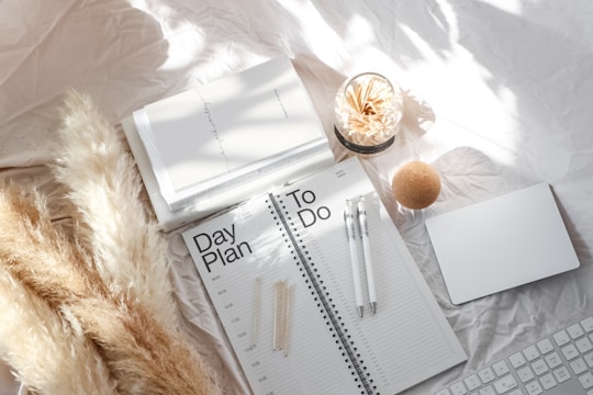 A neatly arranged workspace featuring a day planner opened to a page labeled with time slots. Two pens rest on the planner, and a glass jar filled with matches is nearby. Pampas grass lies to the left, with a closed notebook and a smooth, round cork object nearby. The overall scene is bathed in soft, natural light, highlighting the textures and simplicity.