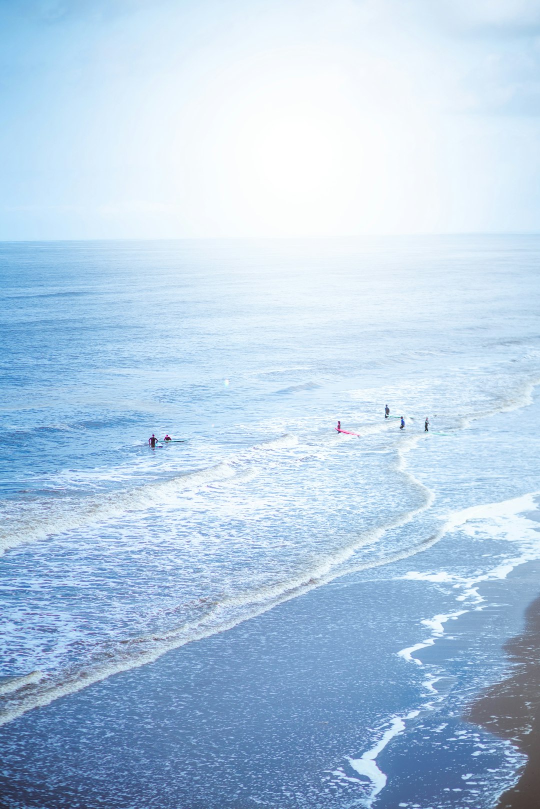 people on beach during daytime