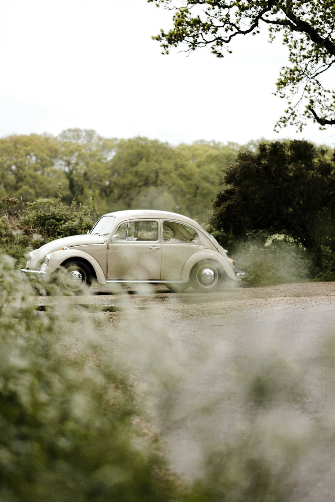 white volkswagen beetle on dirt road during daytime