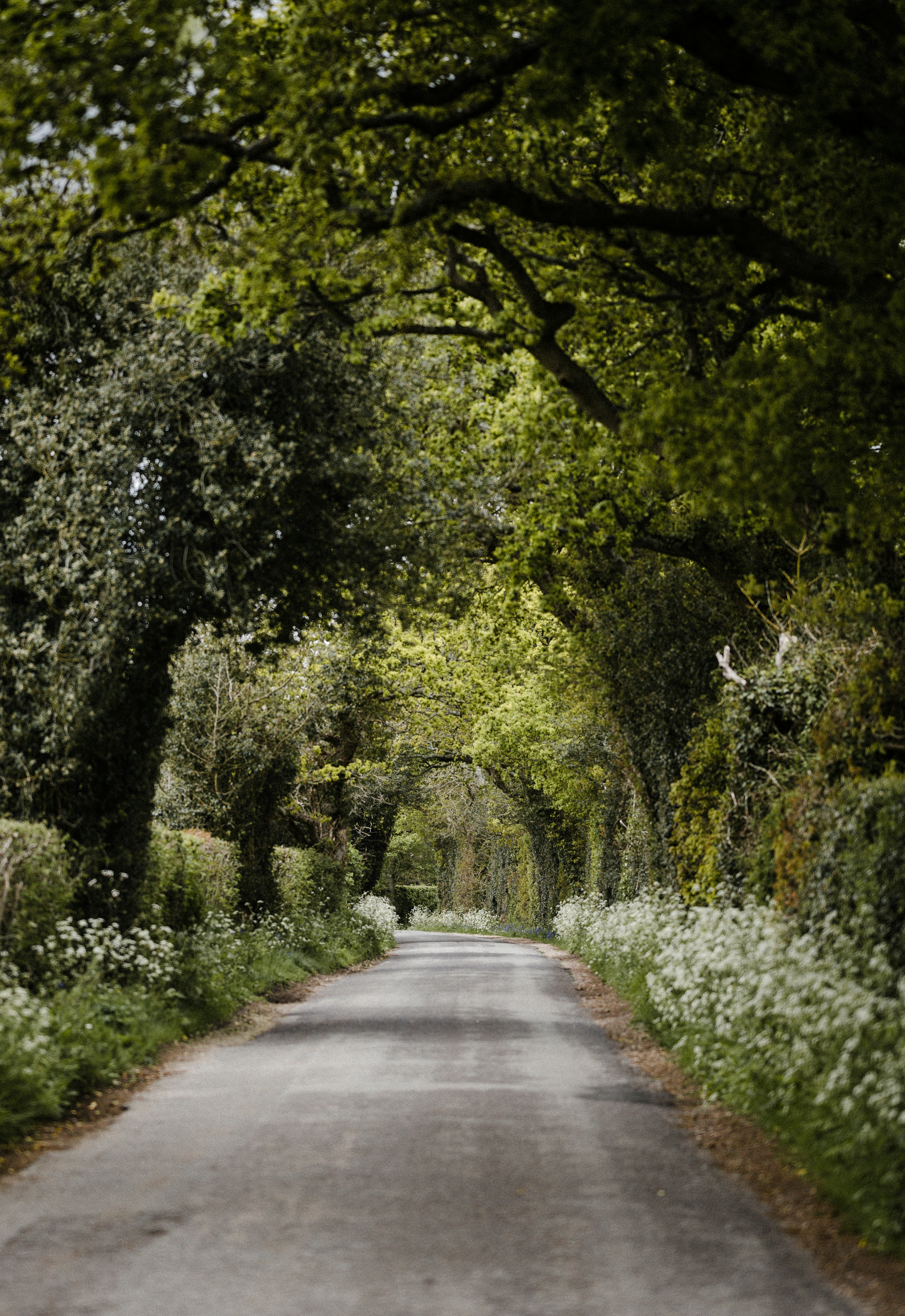 Photo by anniespratt