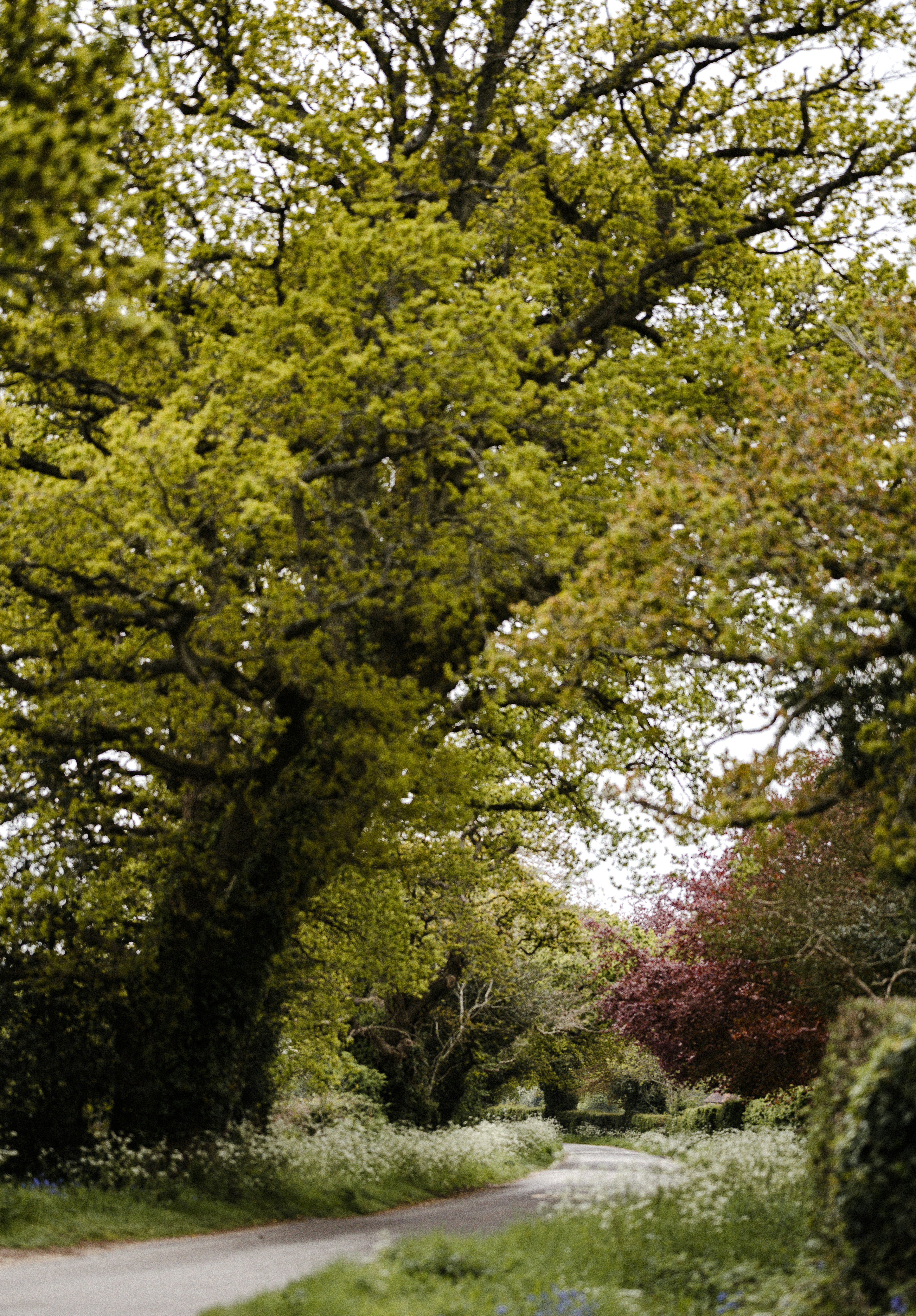 Photo by anniespratt