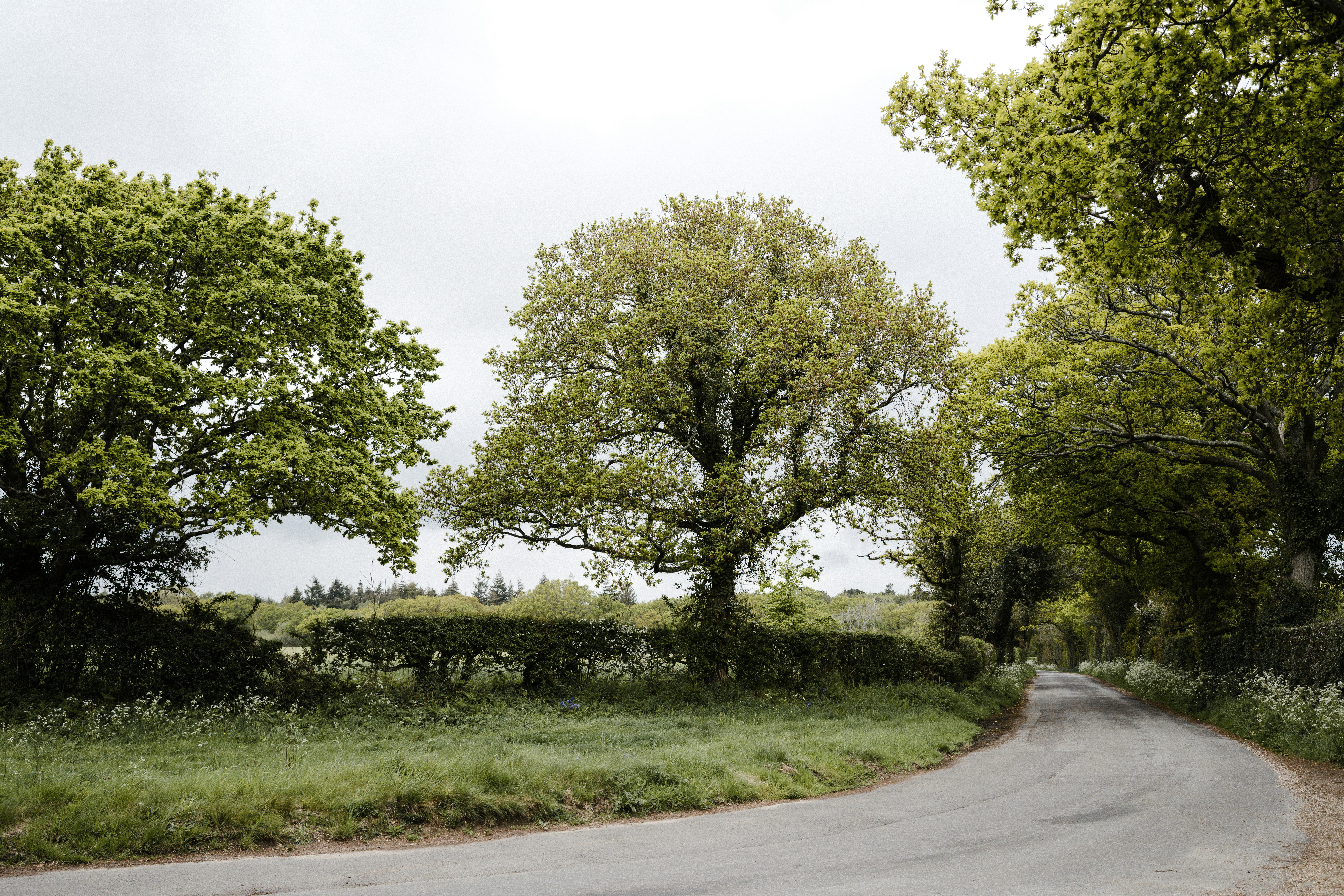 Photo by anniespratt