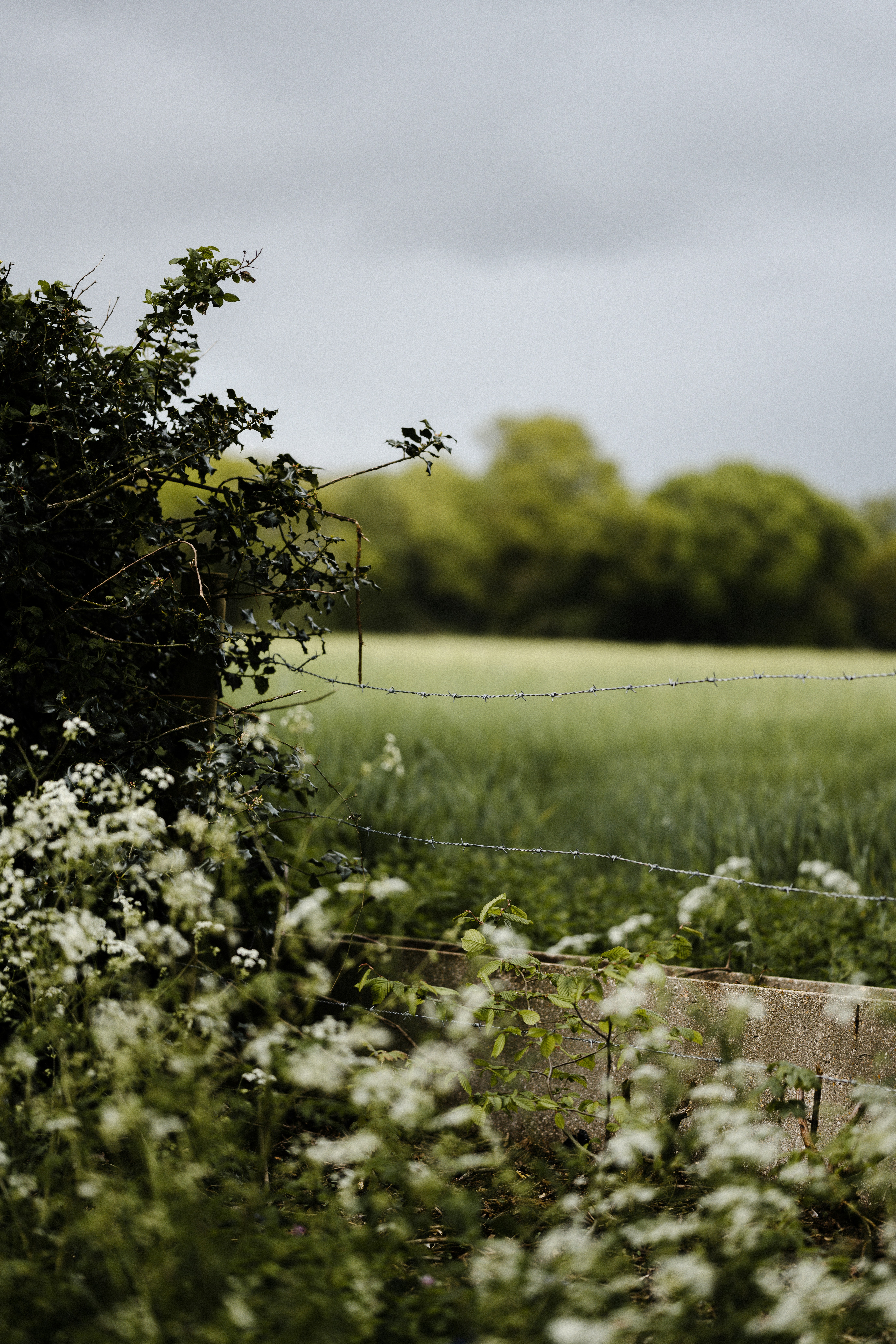 Photo by anniespratt