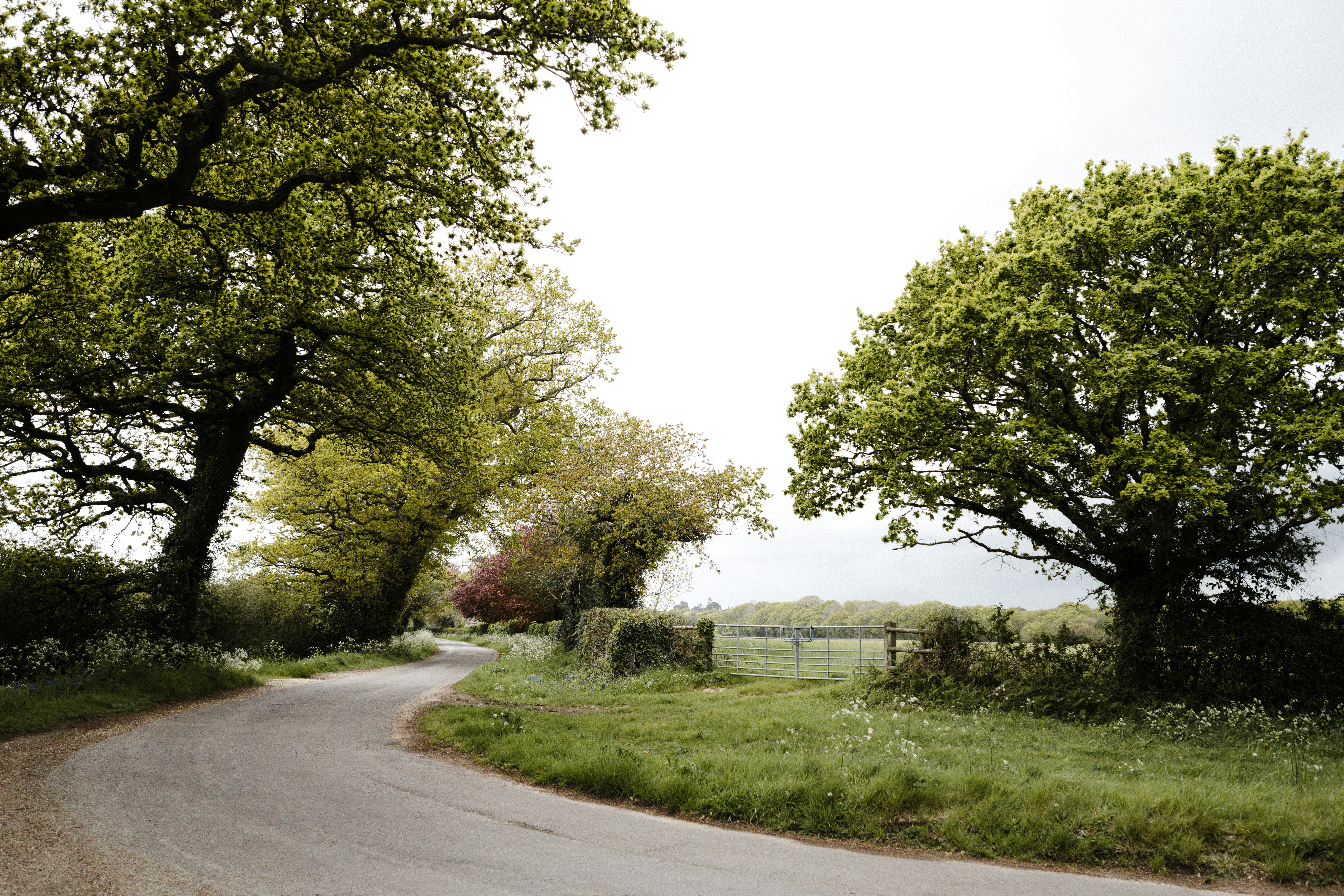 Photo by anniespratt