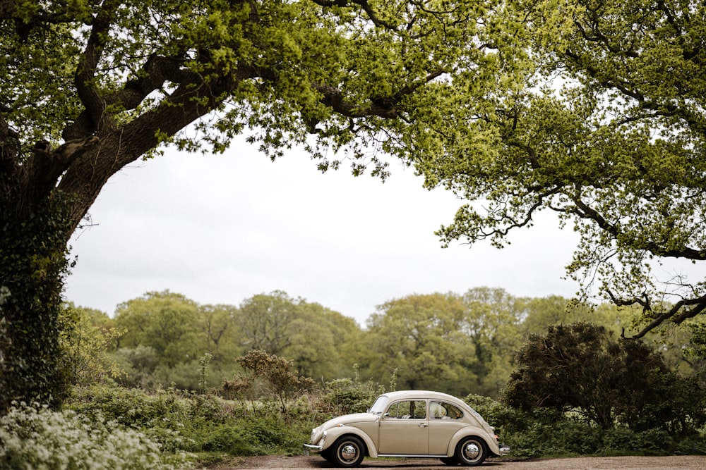 white coupe parked on green grass field during daytime