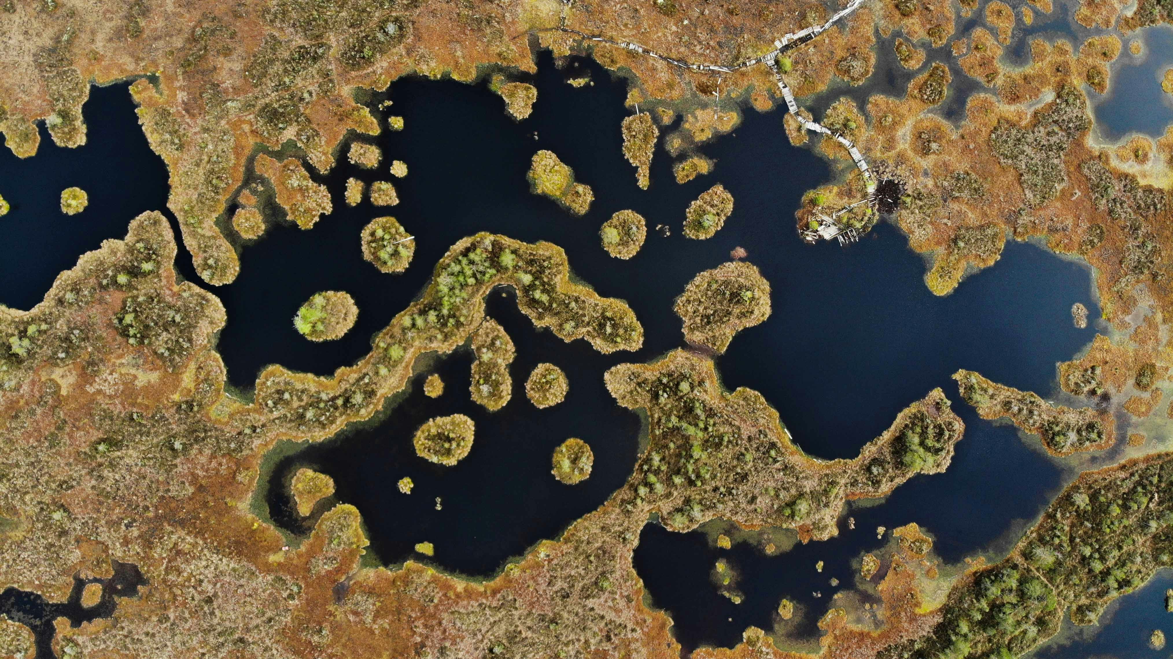 Braune und schwarze abstrakte Malerei