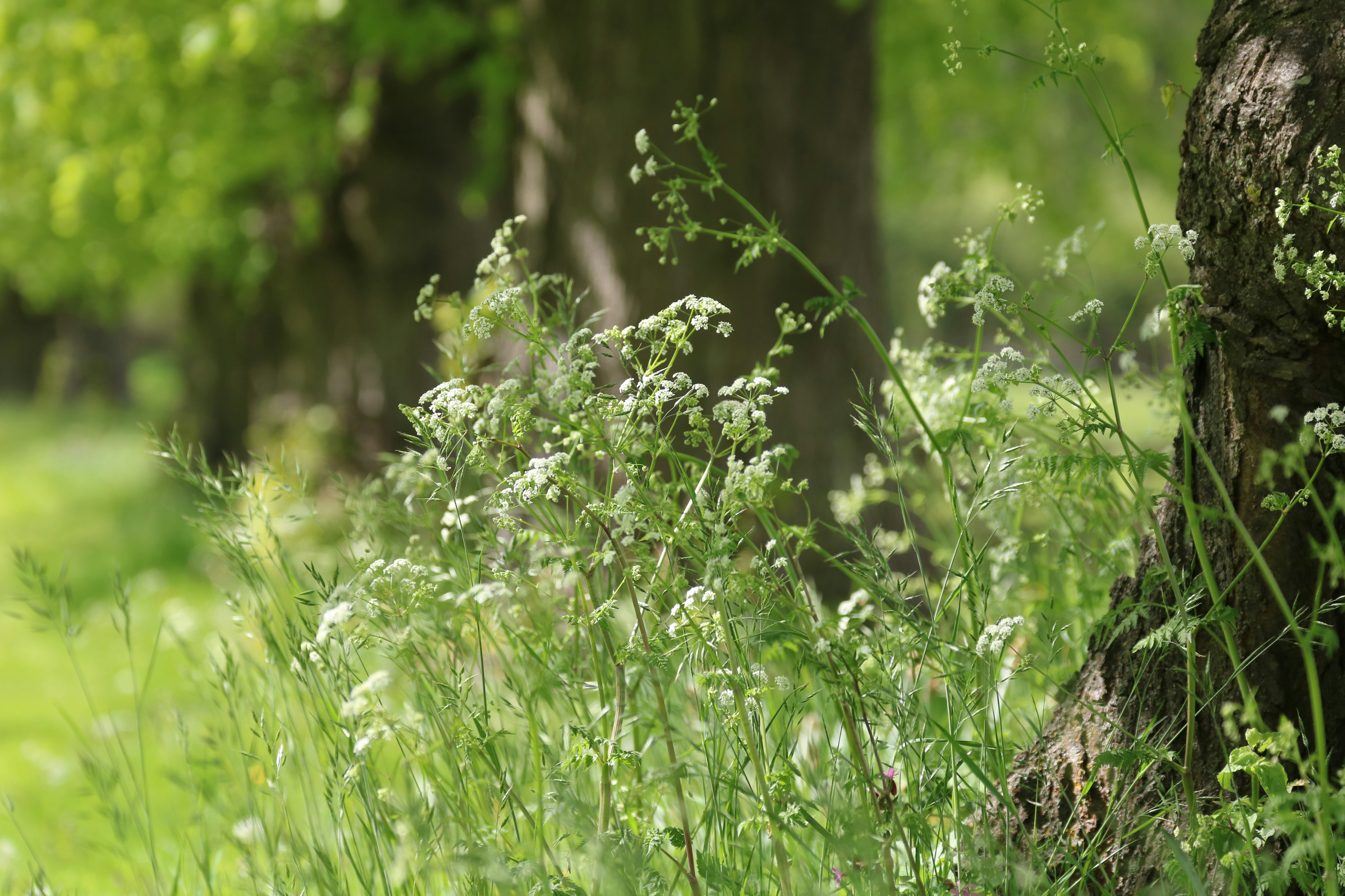 Photo by peterm4988372