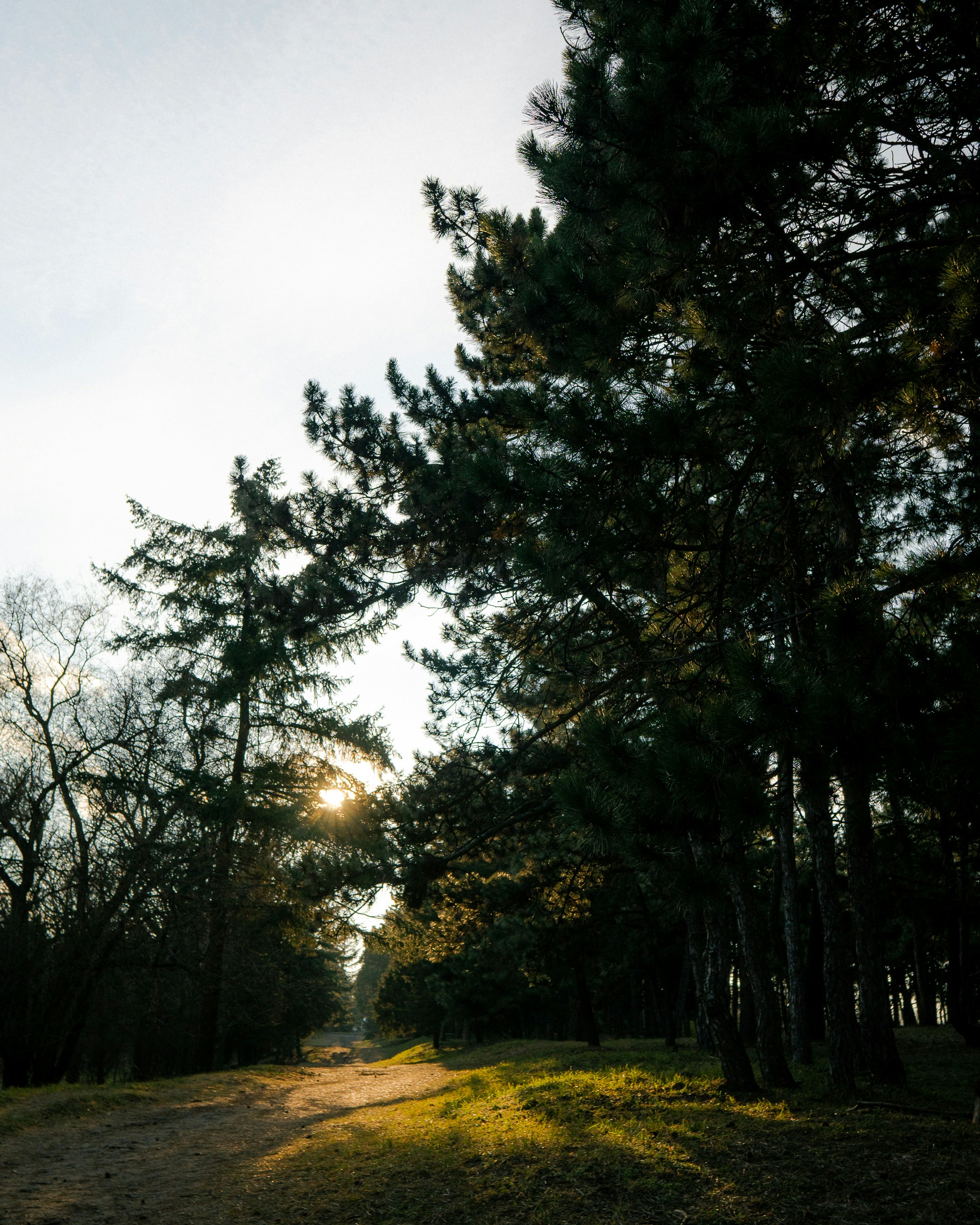 Photo by eugenebiliavskyi