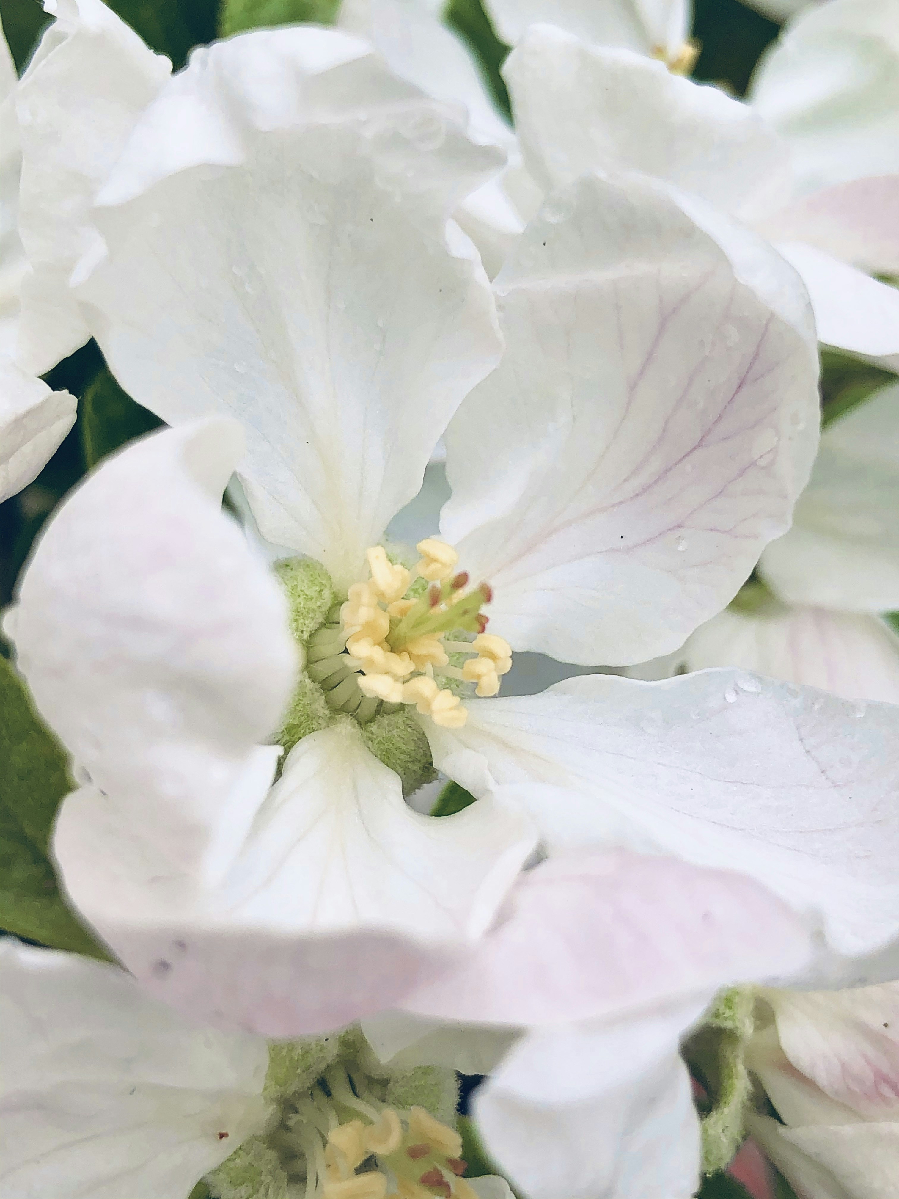 Photo by inna_lobacheva