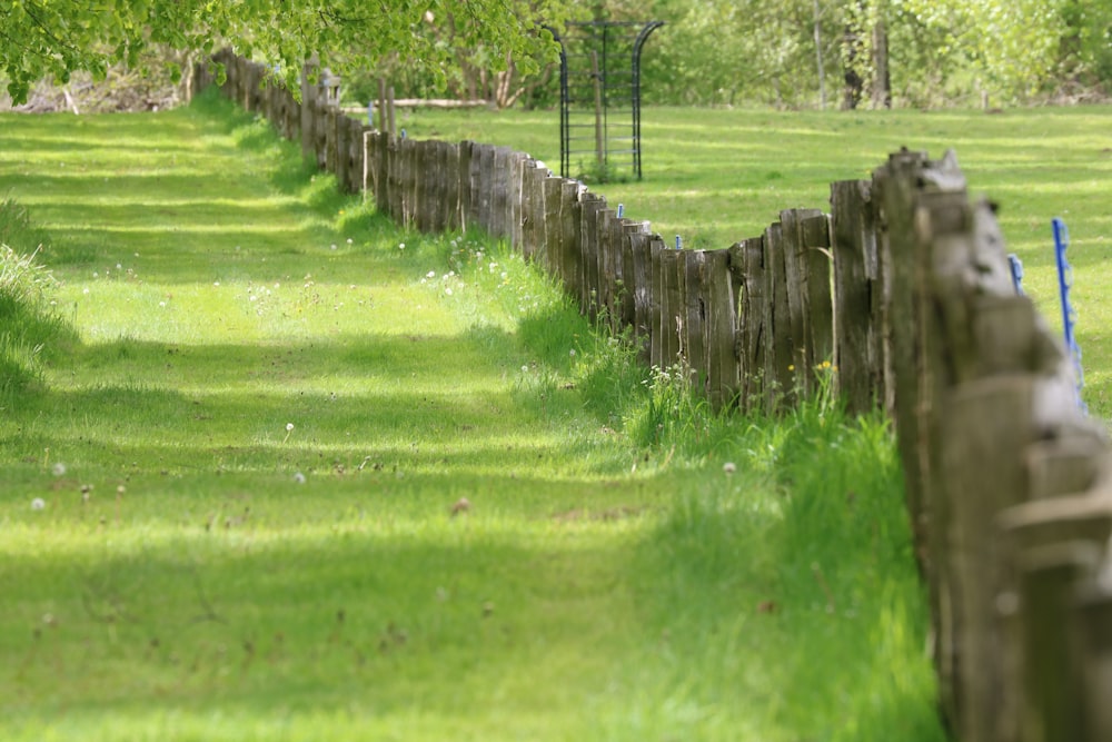 green grass field with brown wooden fence
