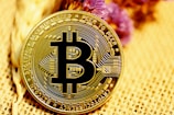 gold and black round coin