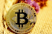 gold and black round coin