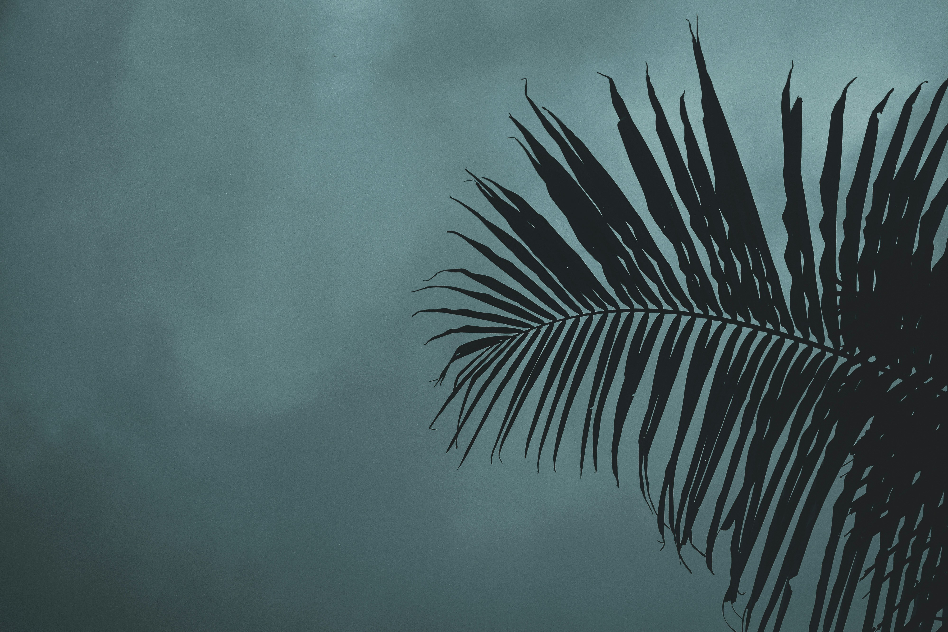 Photo by niranjan_photographs