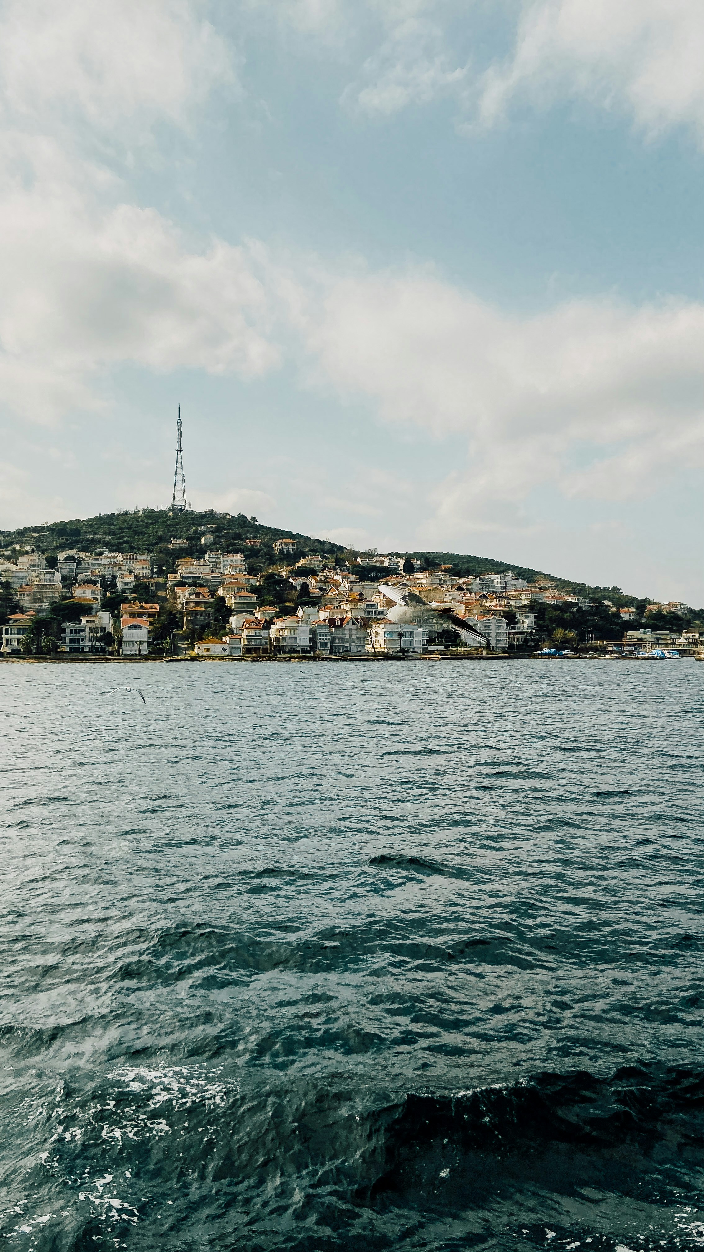 Photo by elenabudagova