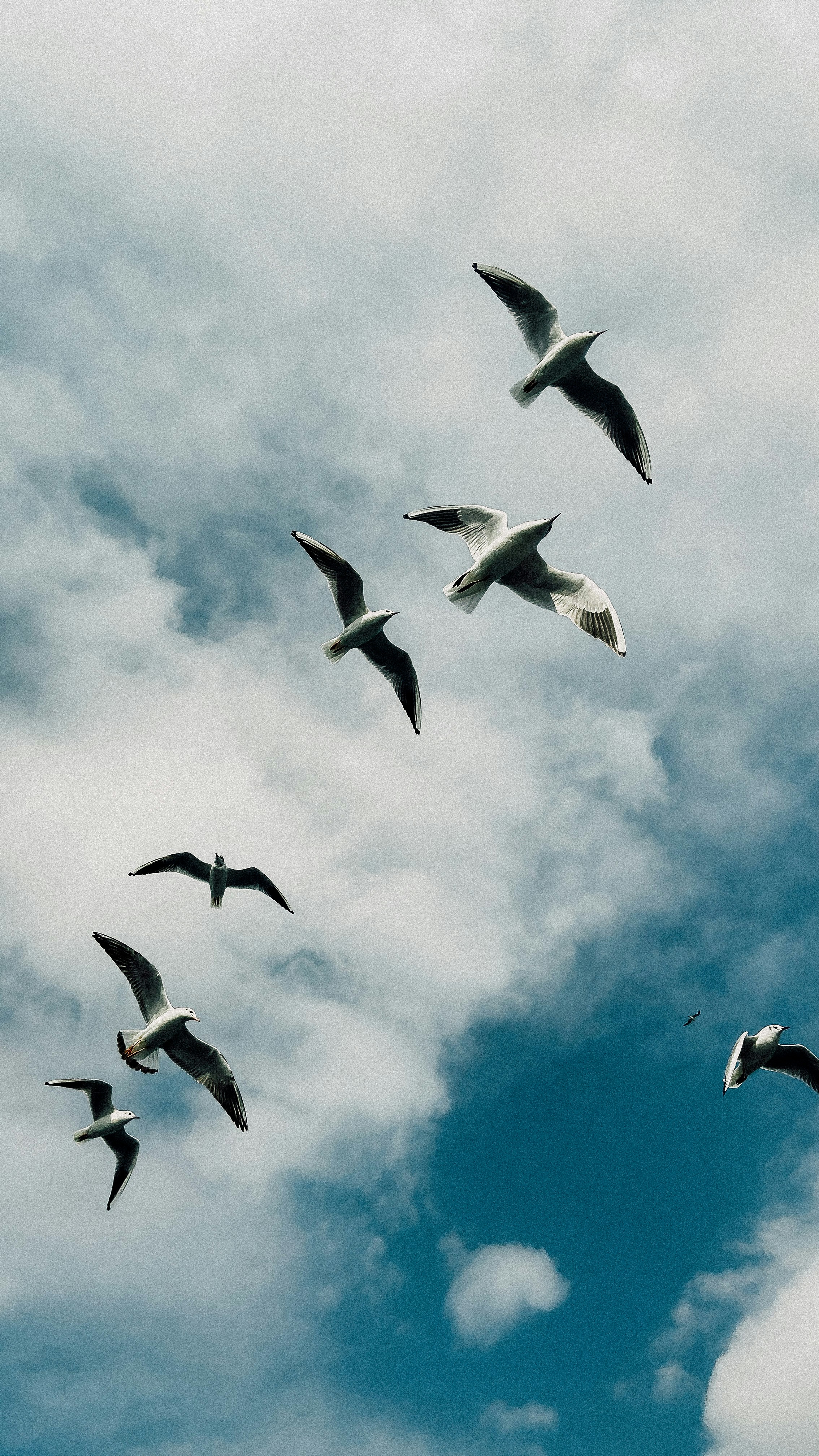 Photo by elenabudagova