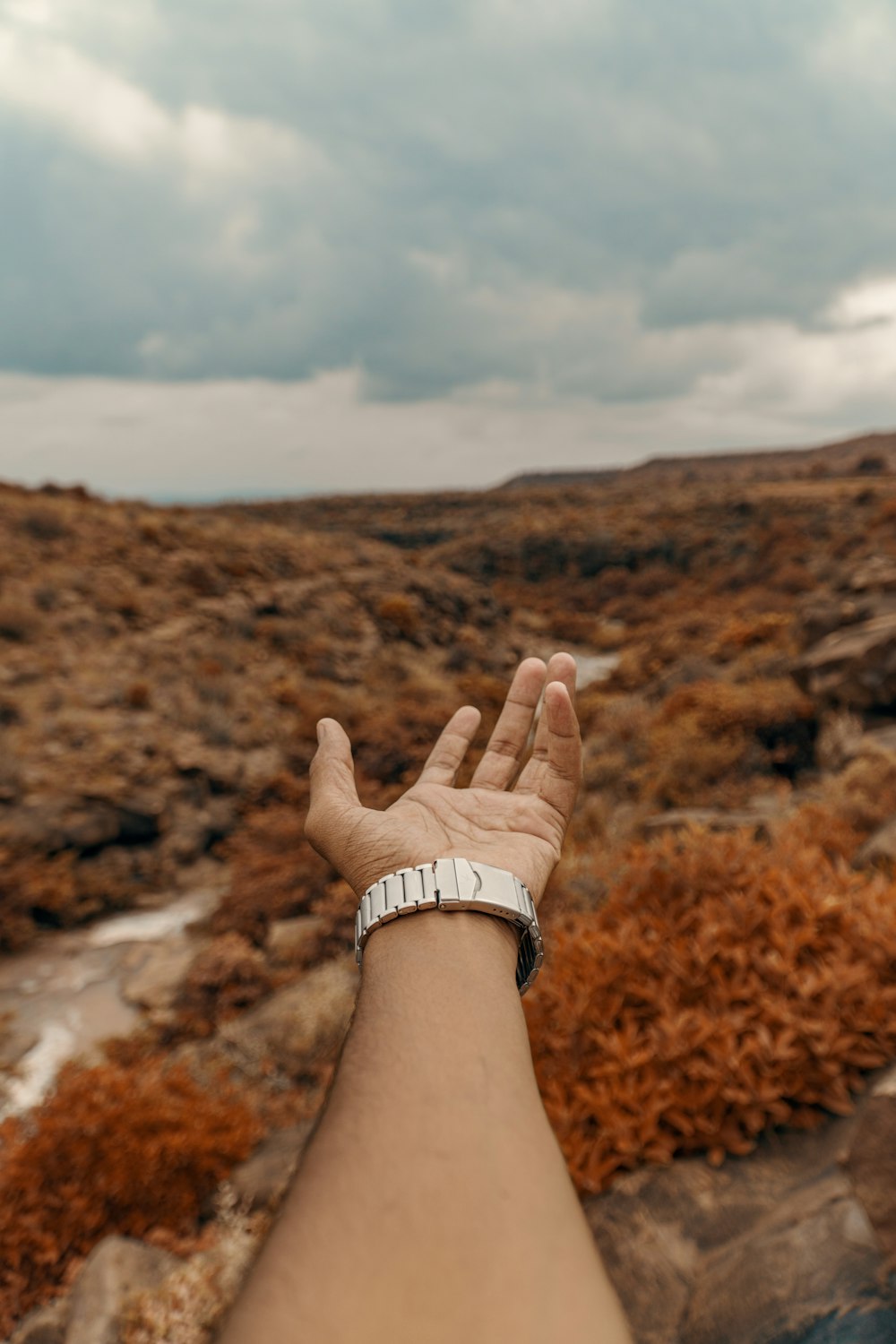 person wearing silver link bracelet watch