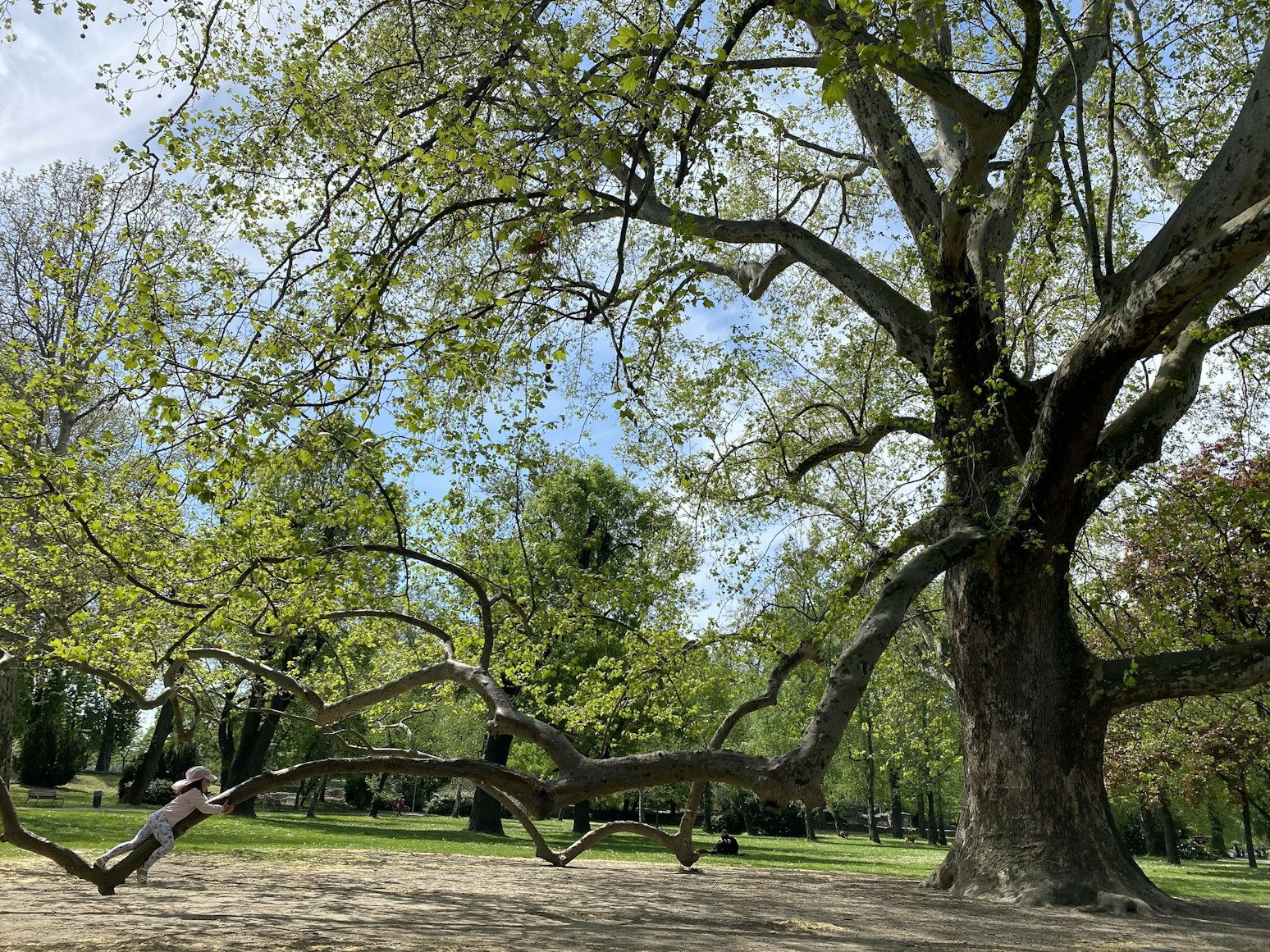 Parque Ecologico La Romera
