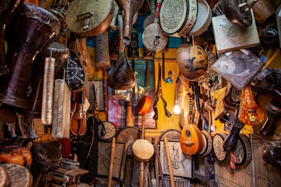 buy an ethnic instrument
