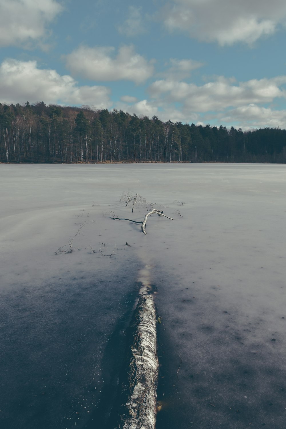 white snow covered field during daytime