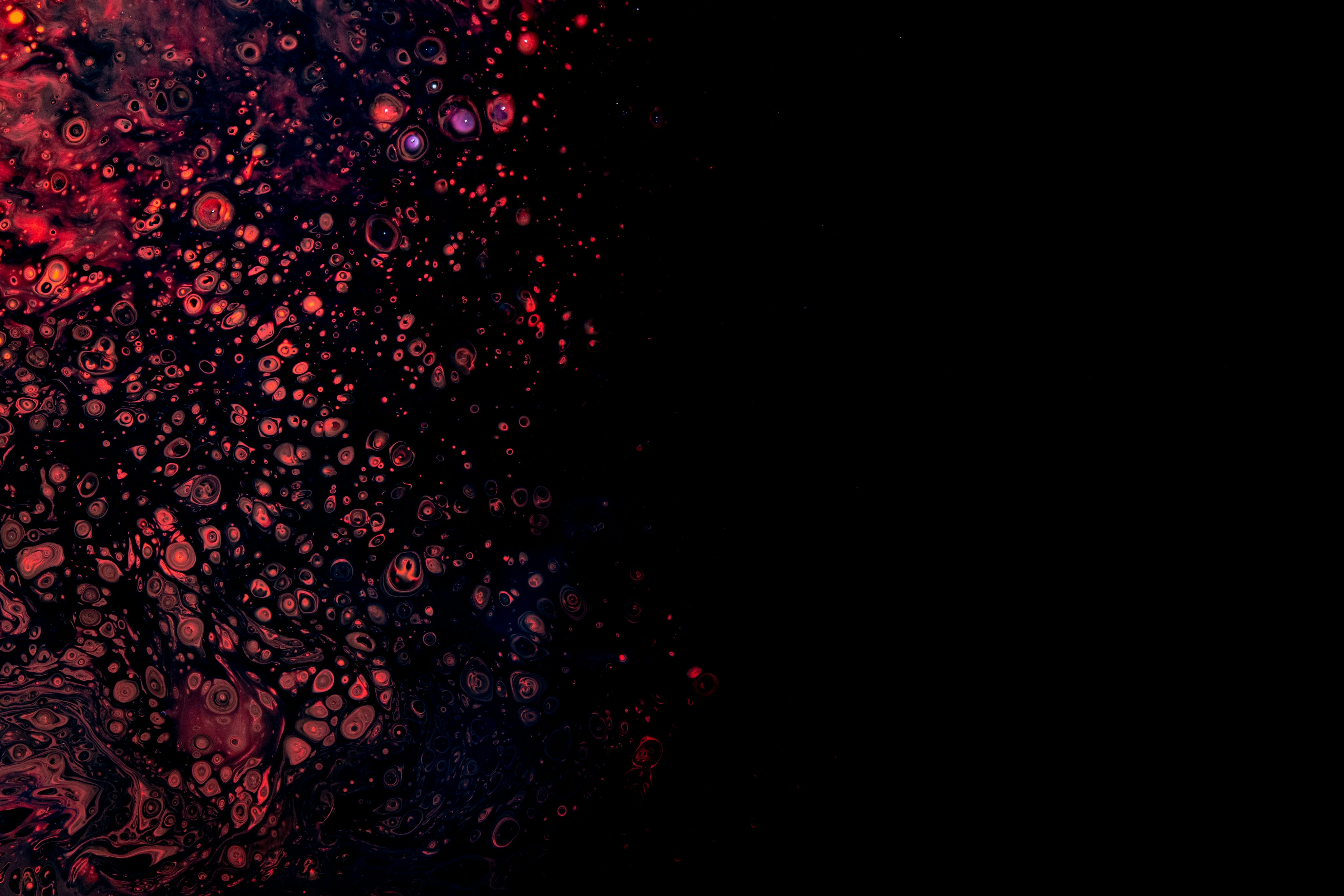 Featured image of post openai-python