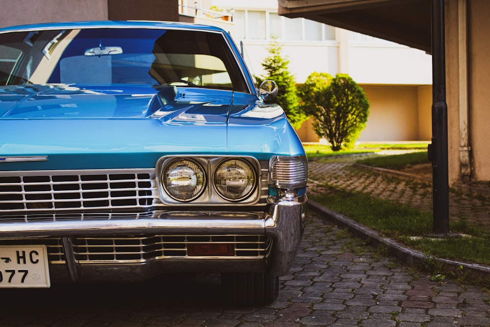 blue car parked near green tree during daytime