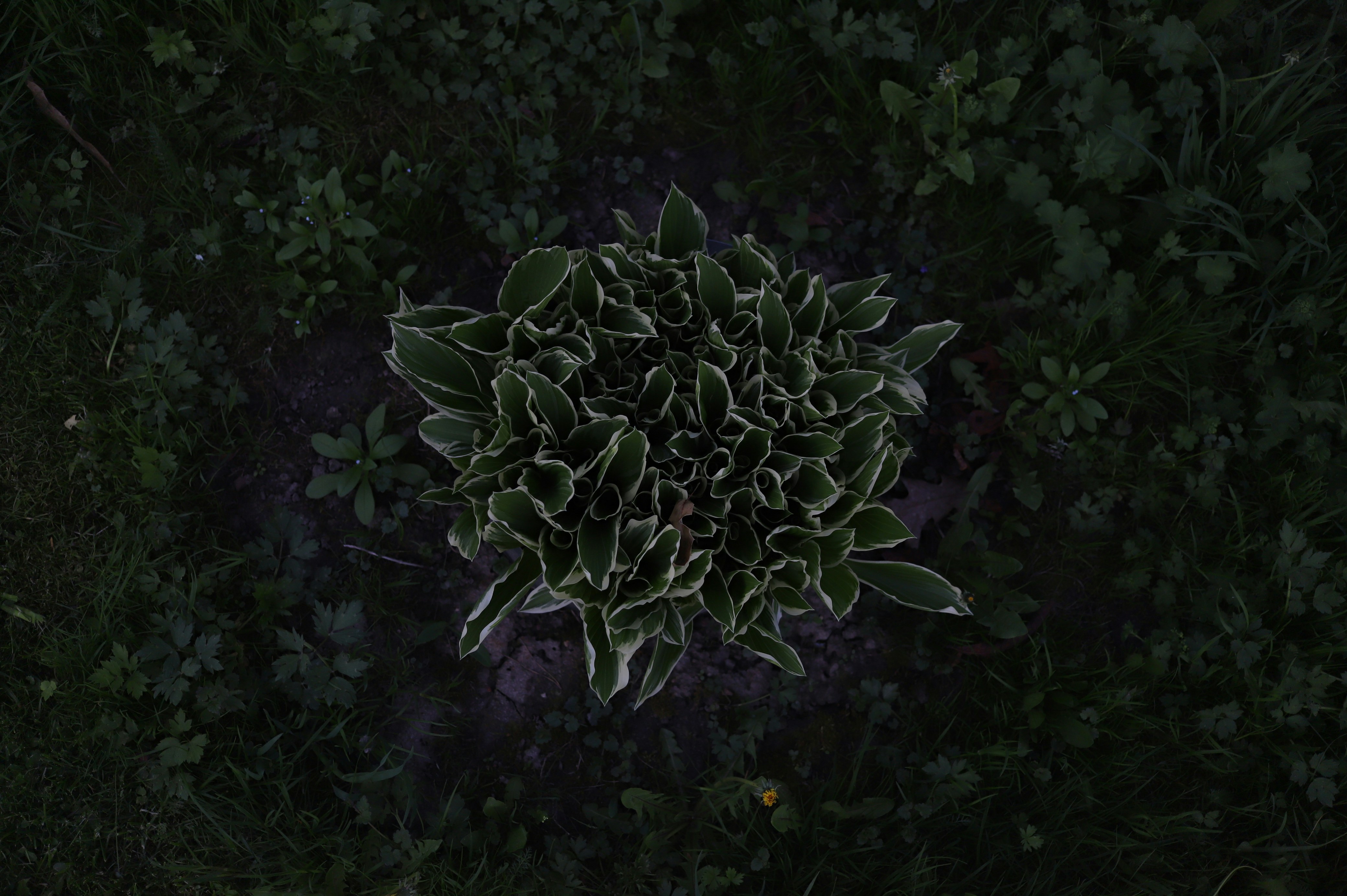 Photo by vodkadesign