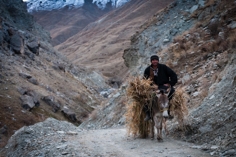 man in black jacket riding on white horse during daytime