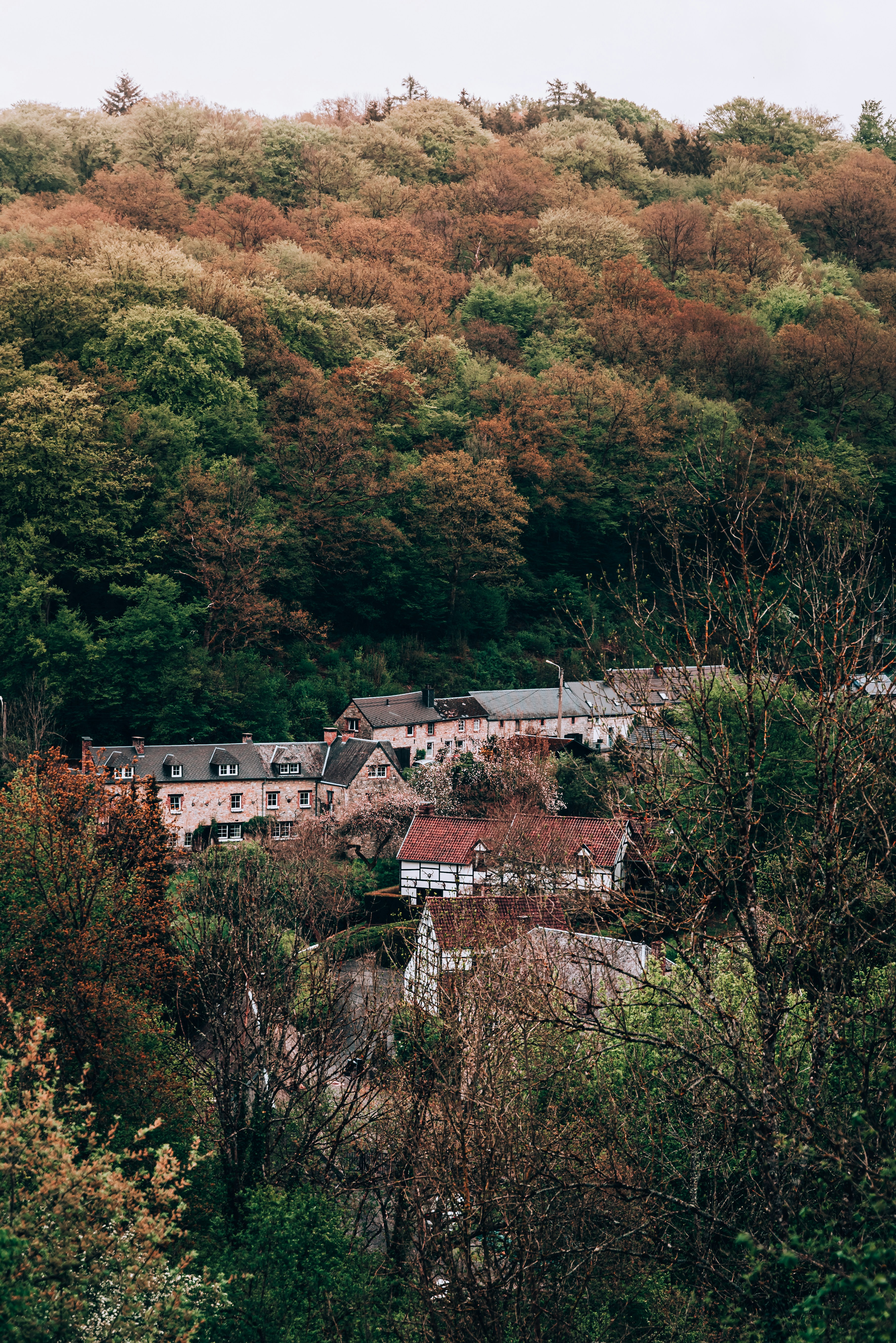 Photo by jonasjaekenmedia