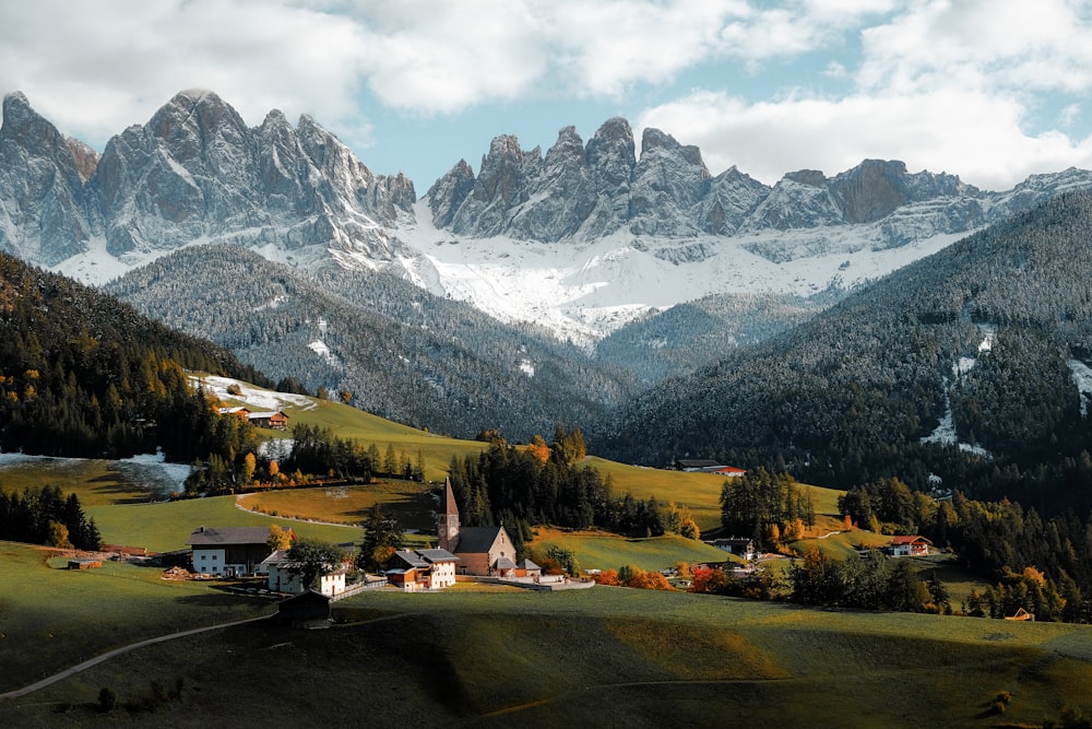 green trees and mountains during daytime