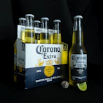 two corona extra beer bottles