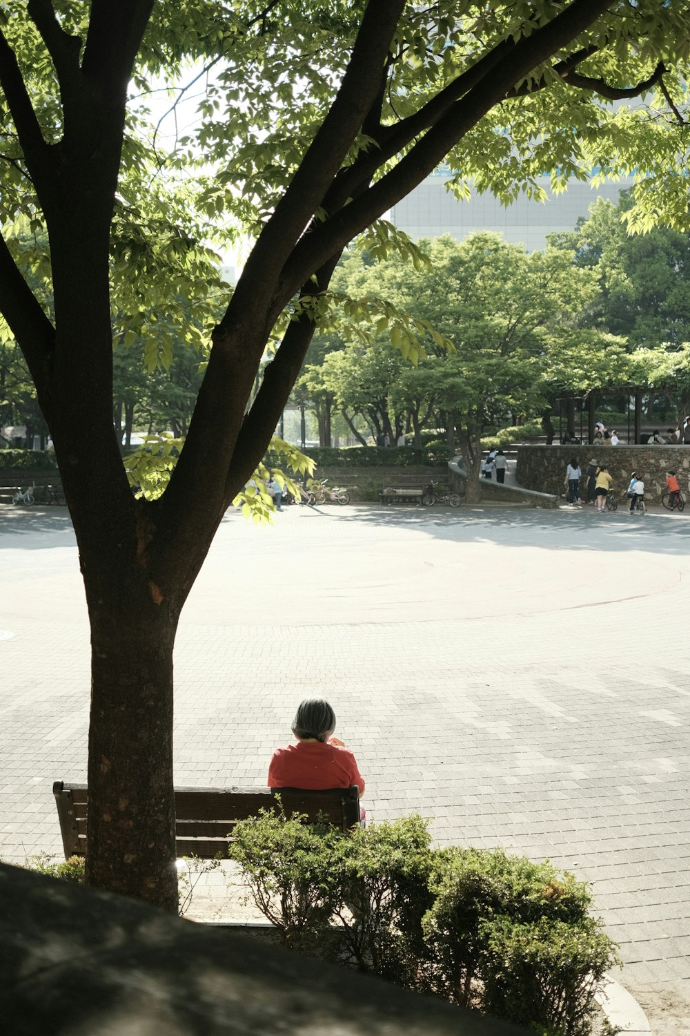 woman in red shirt sitting on brown wooden bench