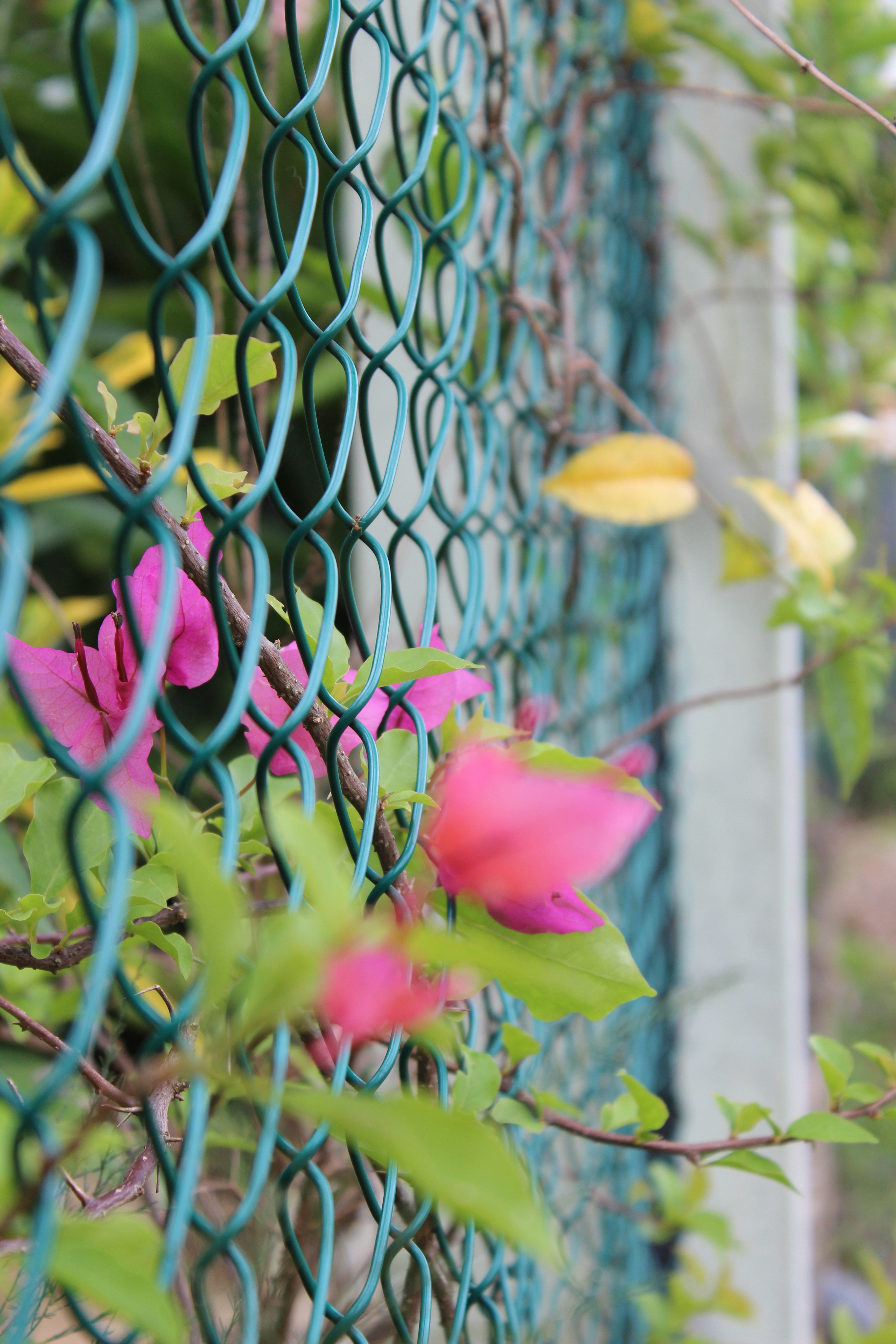 Photo by lasindudulanjith