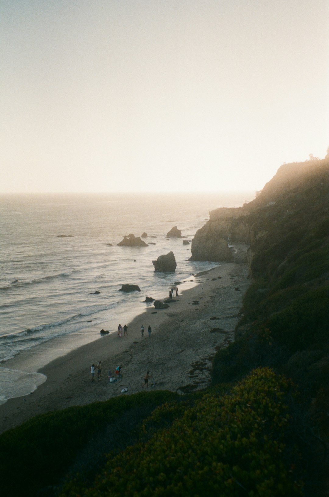 people on beach during daytime