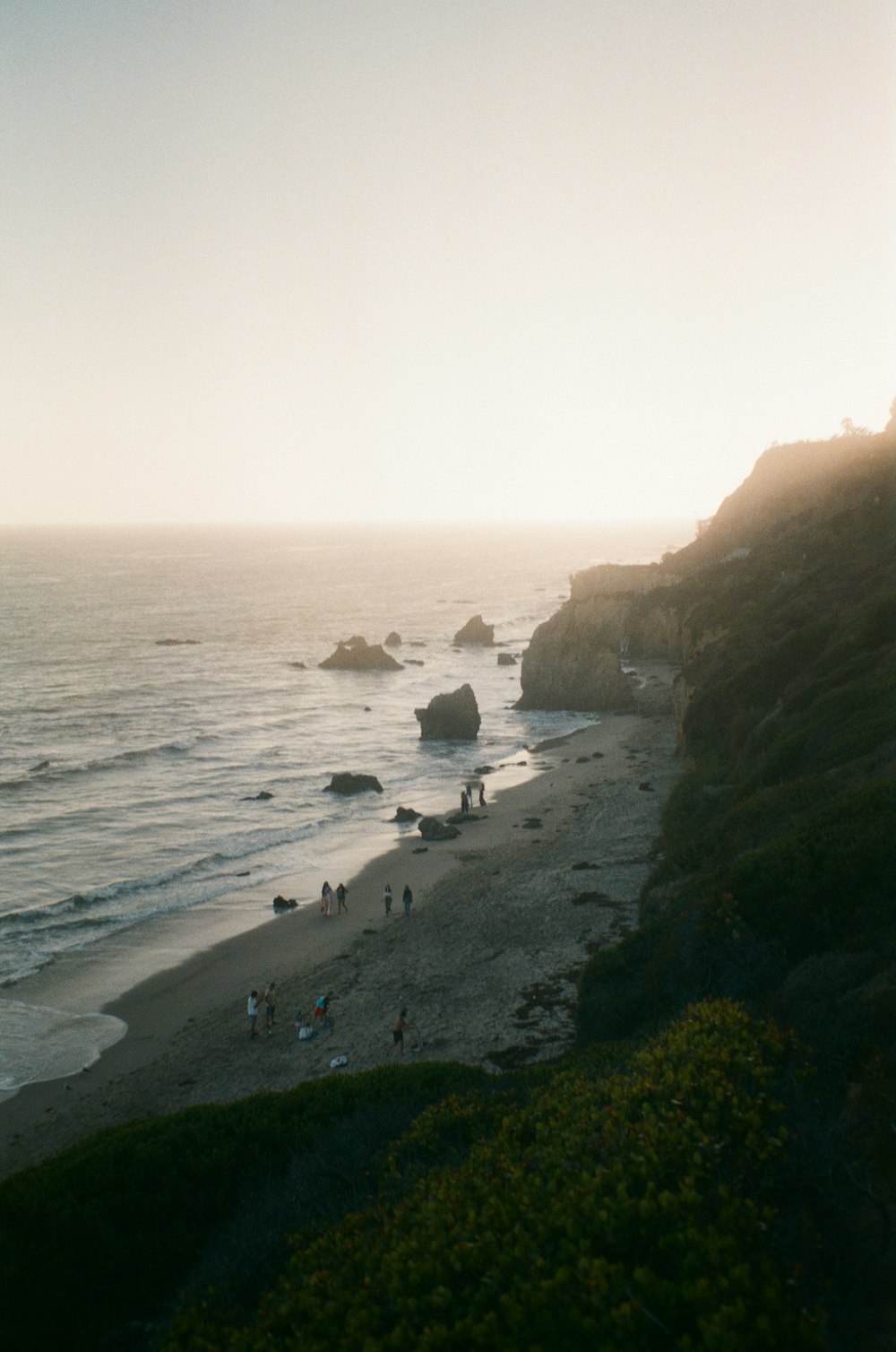 people on beach during daytime