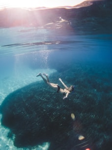 A person is snorkeling underwater in a clear blue ocean. Sunlight filters through the water, creating a serene and calm atmosphere. The snorkeler wears a mask and dives towards a large area of dark seagrass below. The water is illuminated with sun rays, adding a tranquil feeling to the scene.