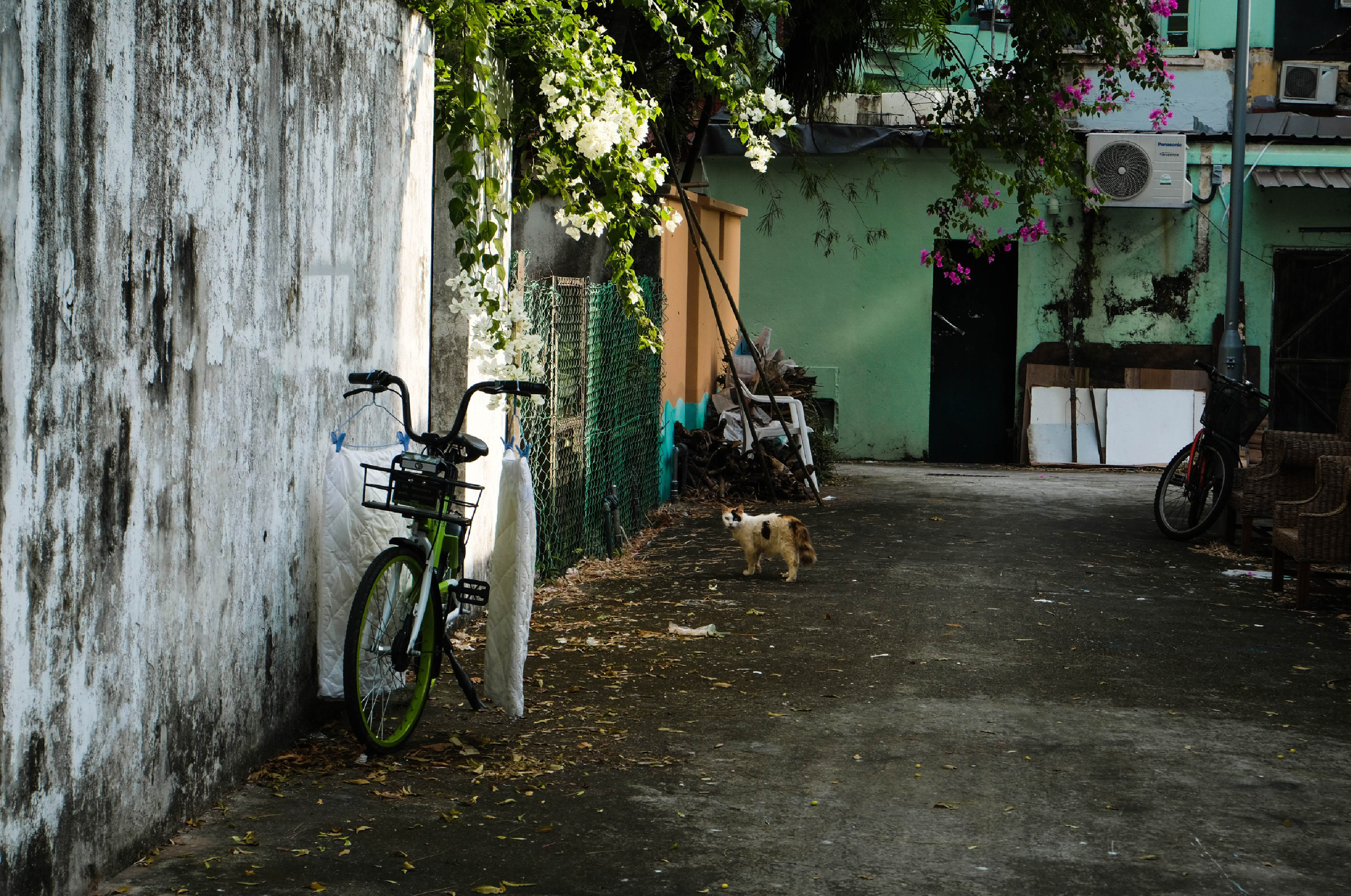 Photo by mobbindesign2