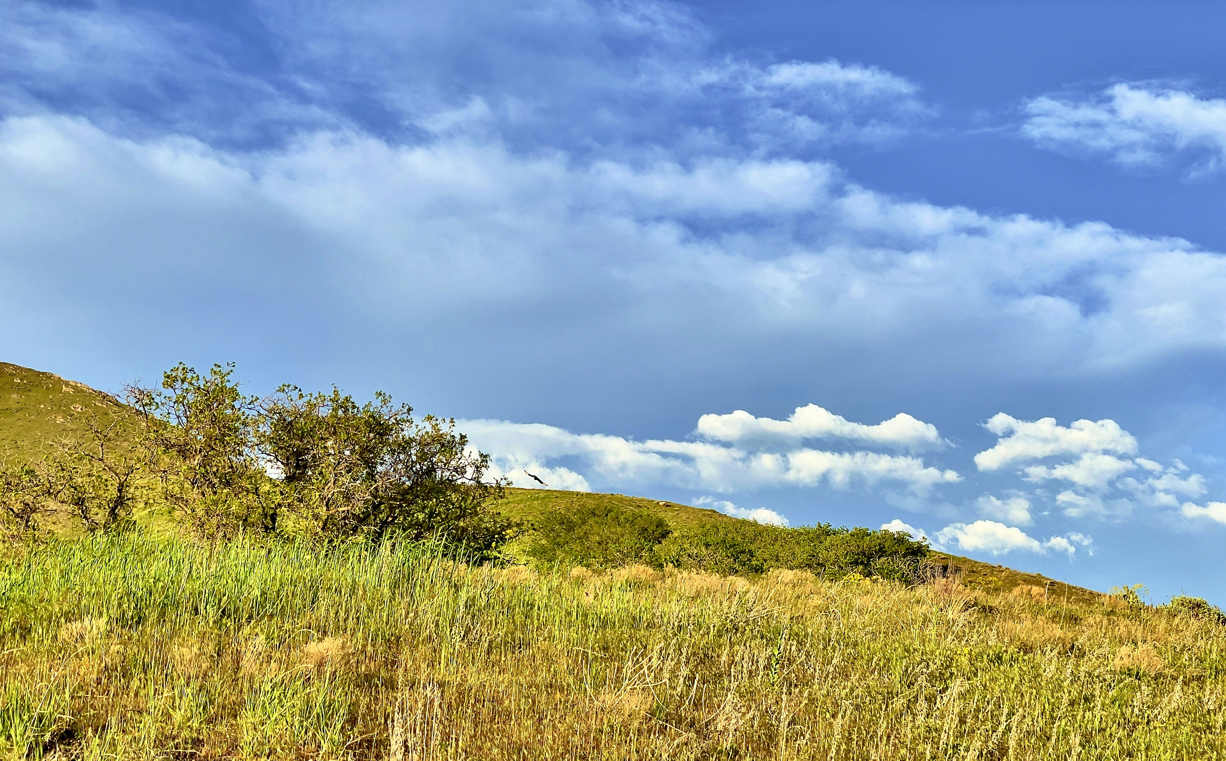 Photo by aloyisius65