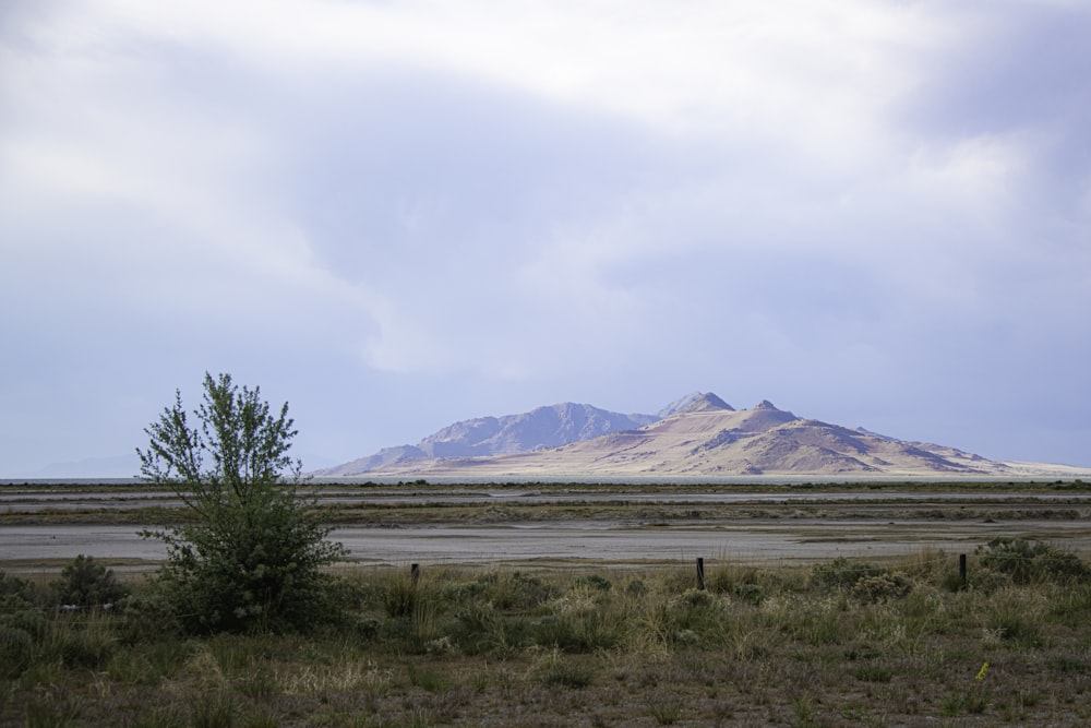 green grass field near brown mountain under white sky during daytime