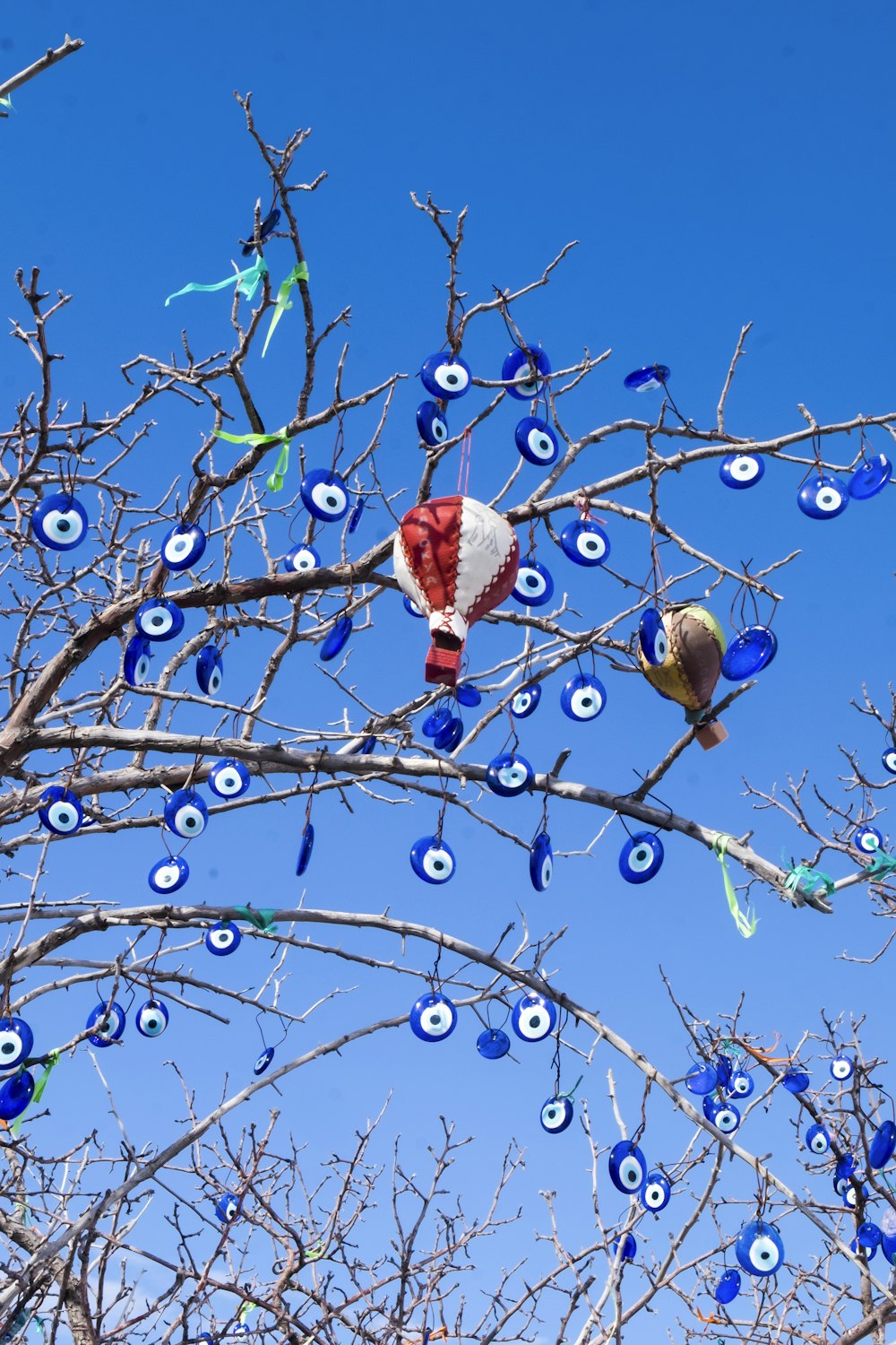 brown and red fruit on tree branch