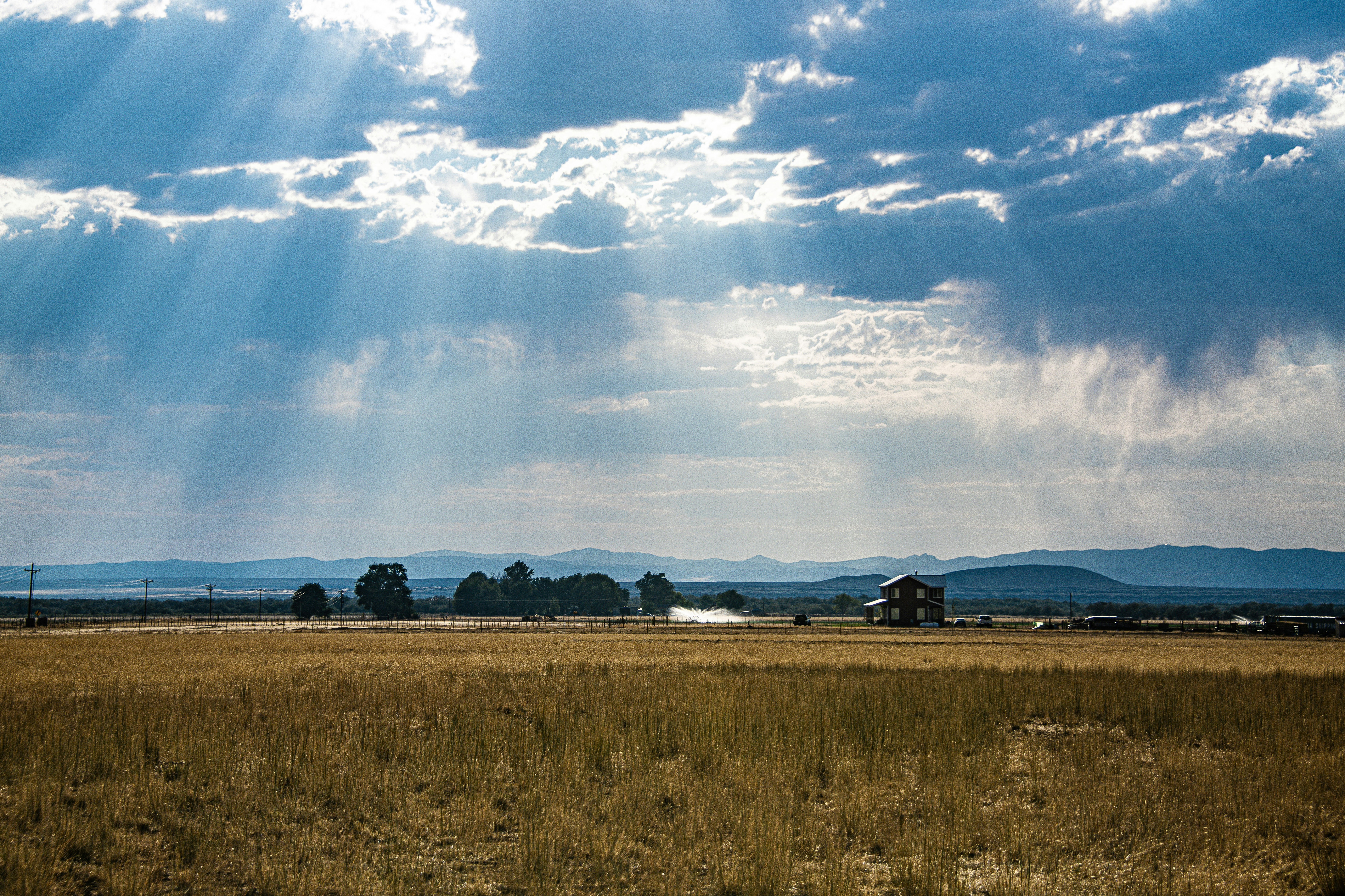 brown grass field under blue sky and white clouds during daytime