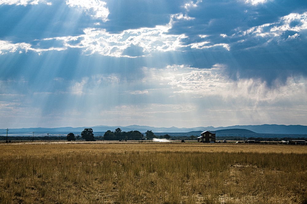 brown grass field under blue sky and white clouds during daytime