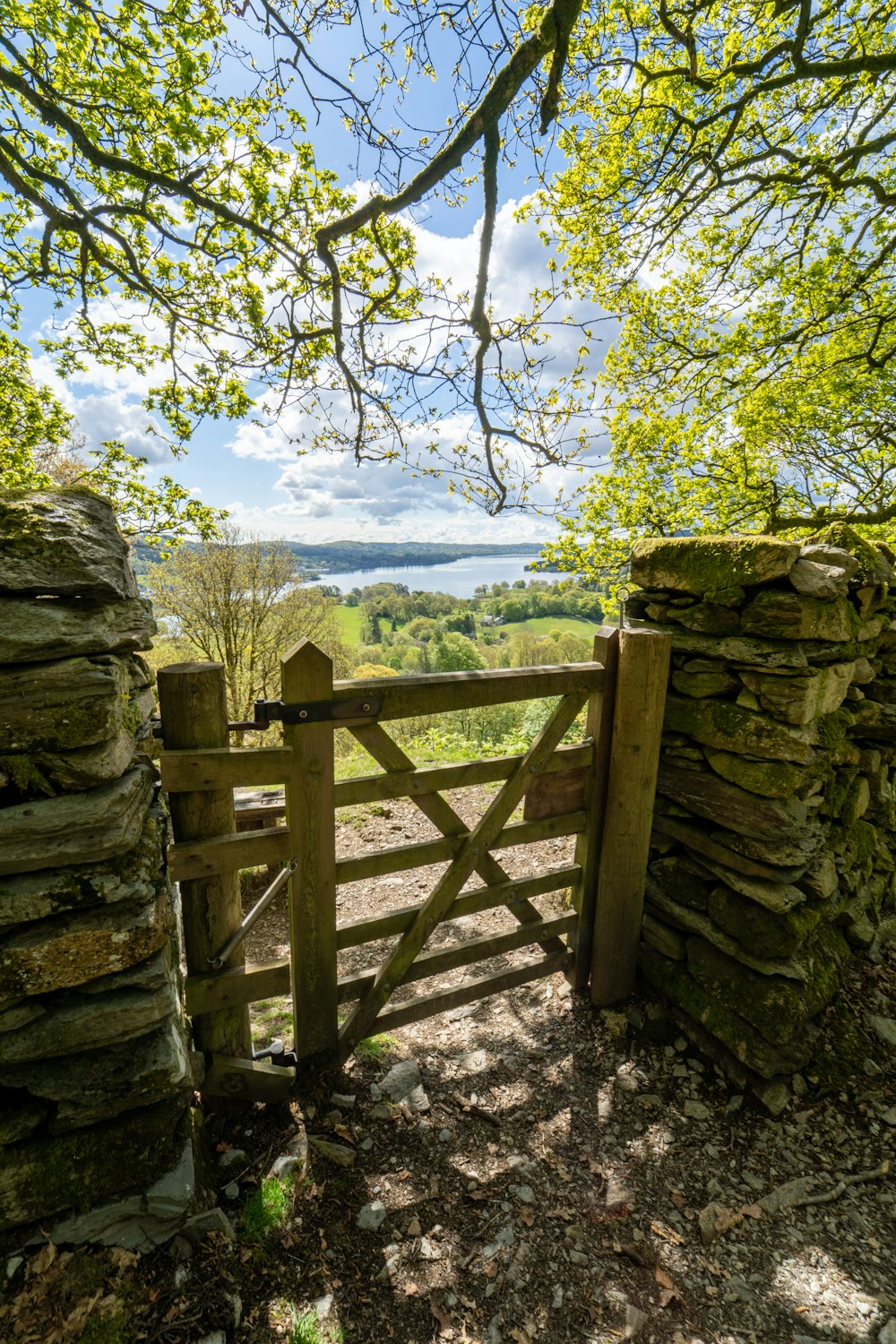 brown wooden fence near green trees during daytime