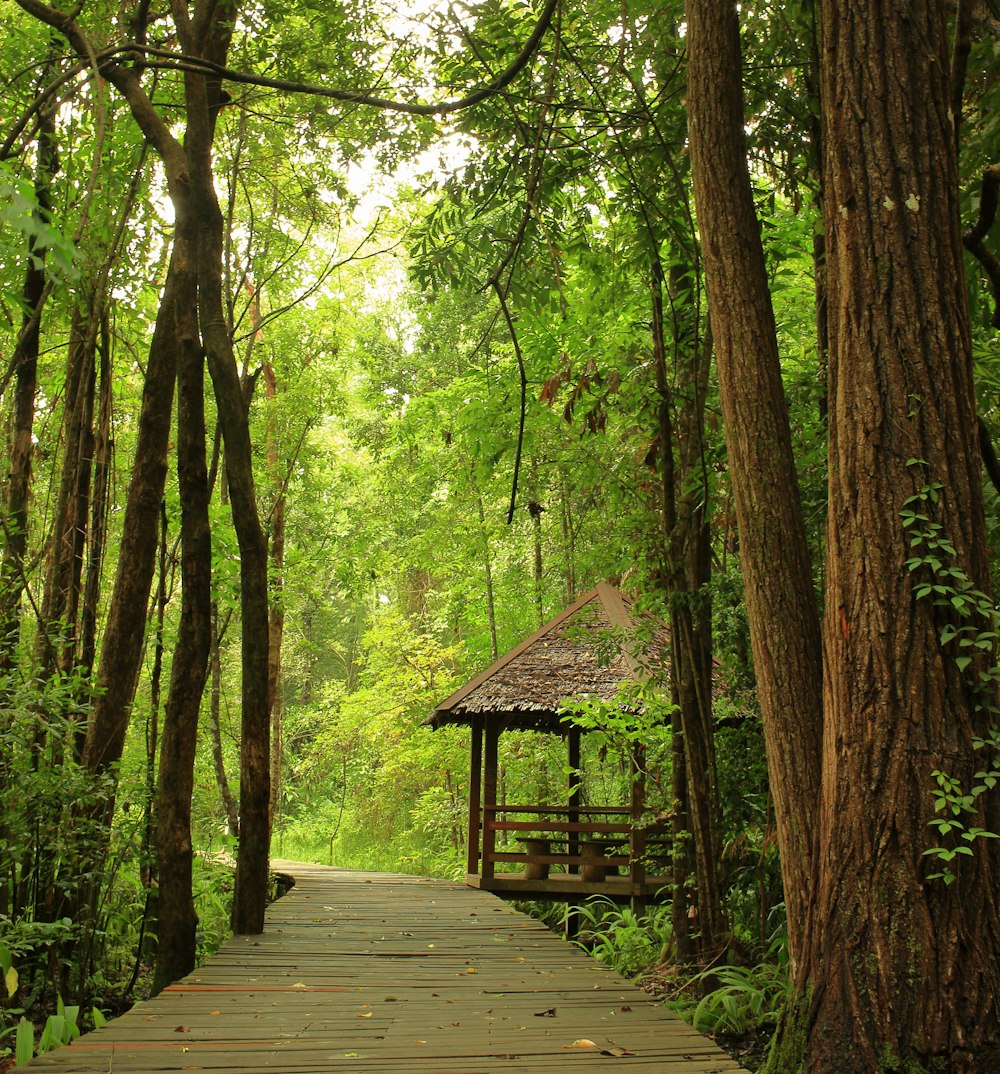 brown wooden bridge in the woods