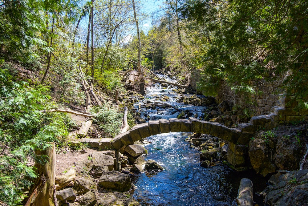 brown wooden bridge over river